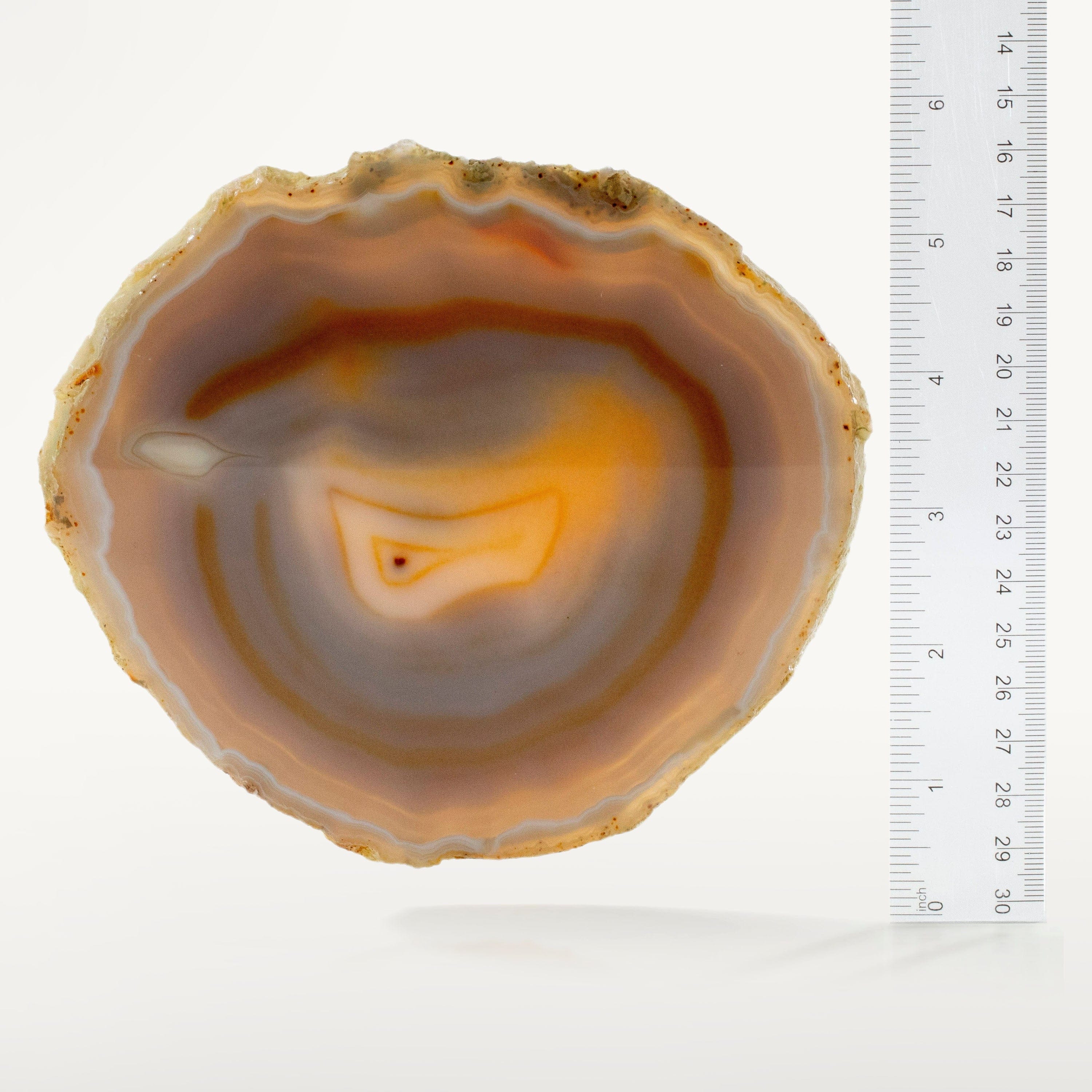 KALIFANO Agate Natural Agate Slice Drink Coaster BAS160-AG