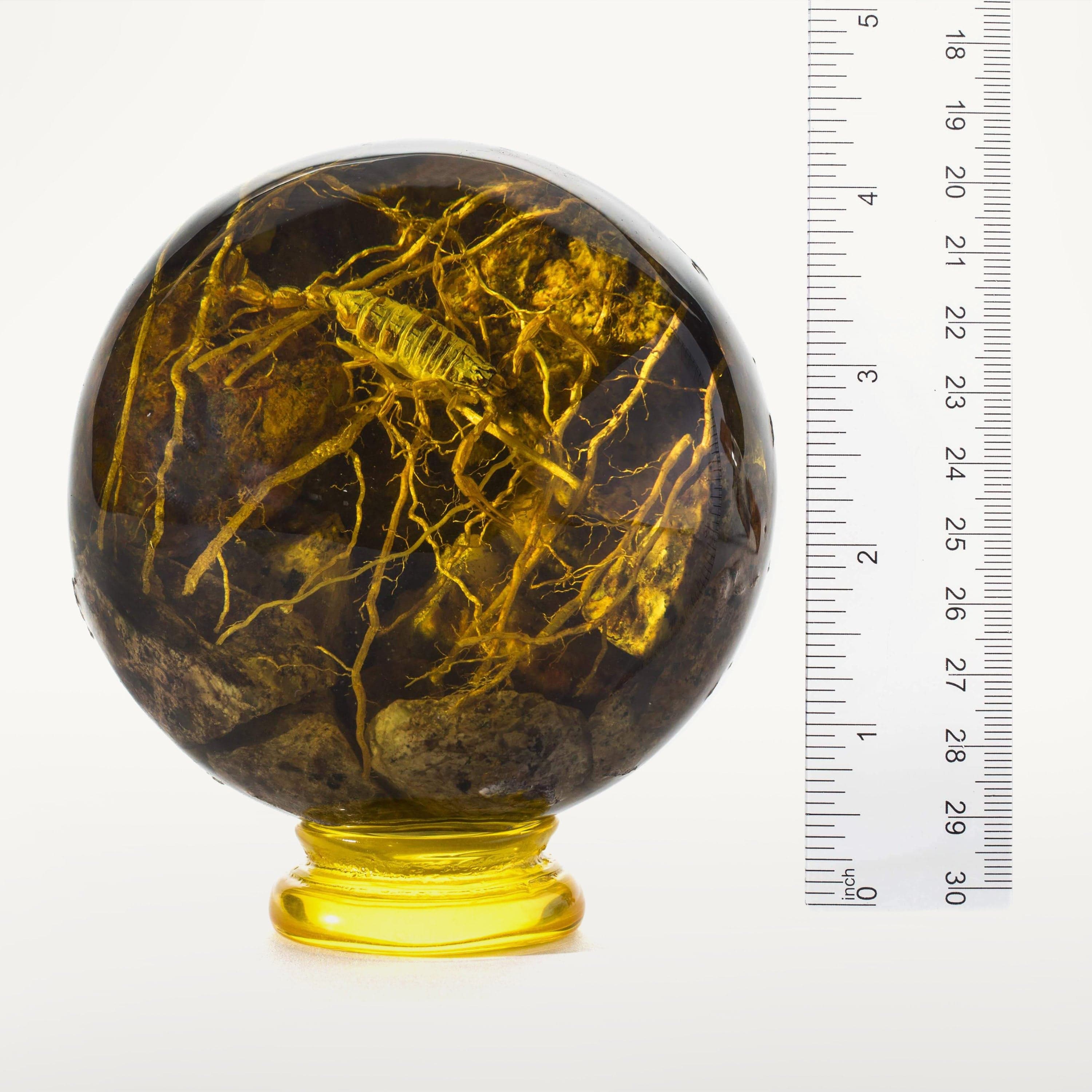 Kalifano Amber Cultured Amber Sphere with Scorpion - 4" AMB400