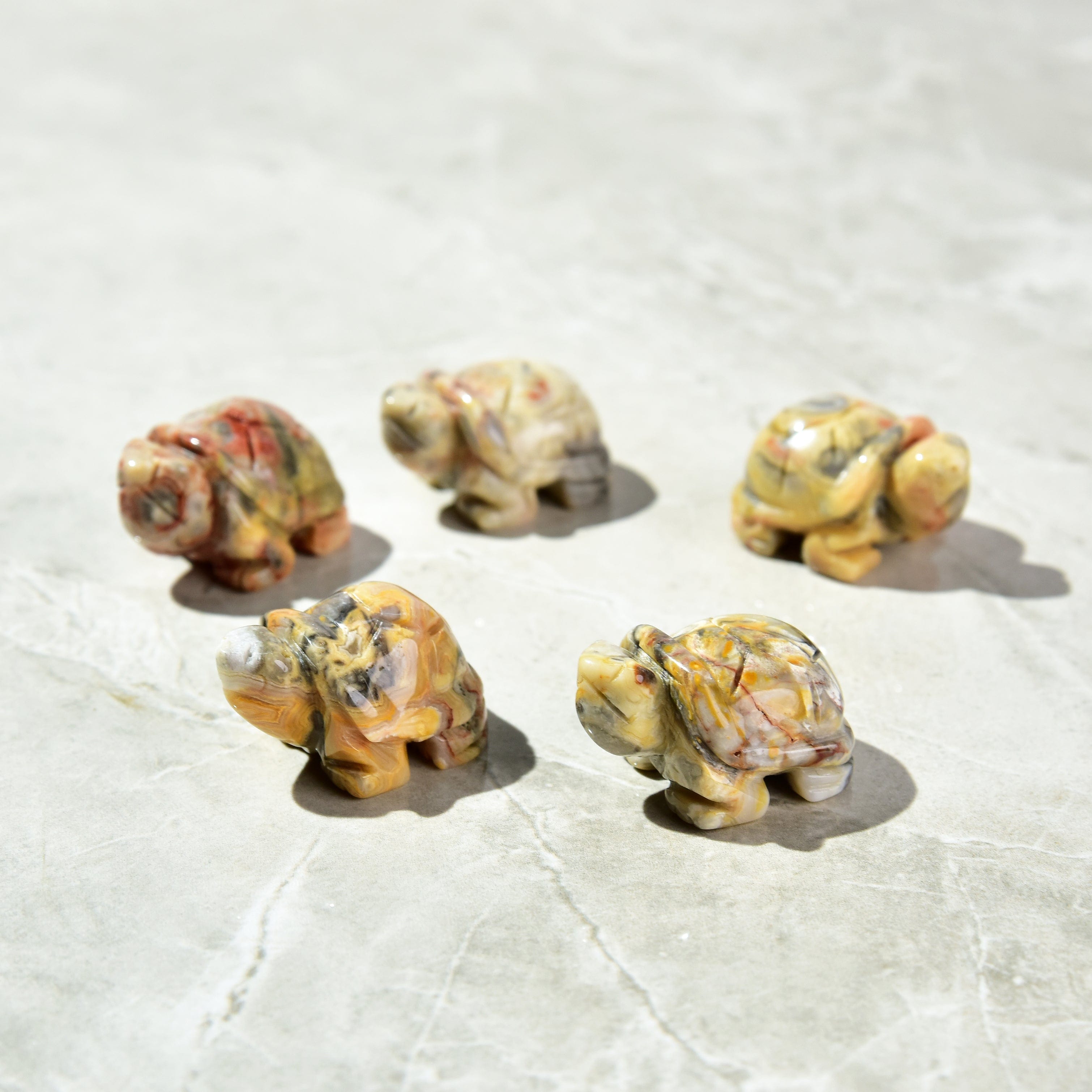 KALIFANO Gemstone Carvings 1.5" Crazy Lace Agate Turtle Natural Gemstone Carving CV13-T-CLA