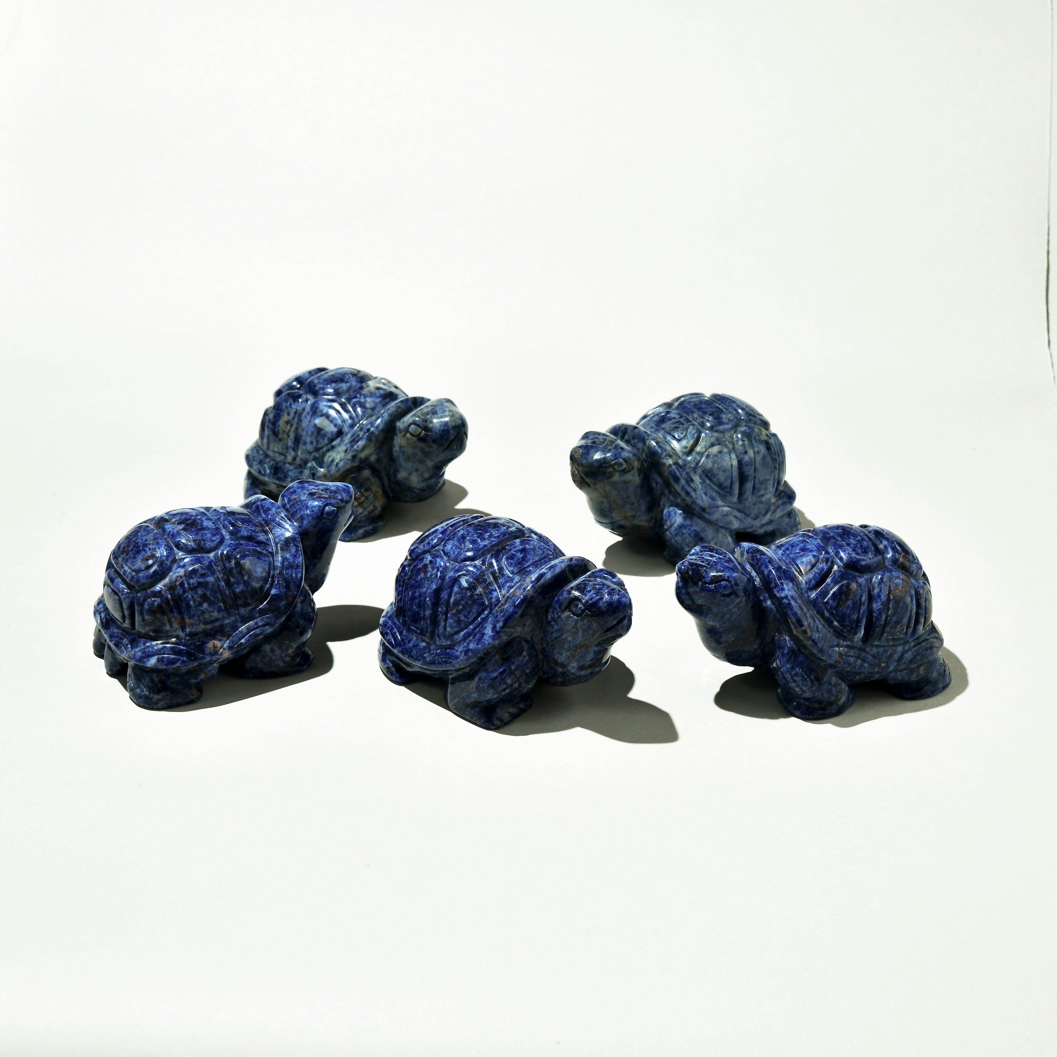 KALIFANO Gemstone Carvings 4" Sodalite Turtle Natural Gemstone Carving CV140-T-SD