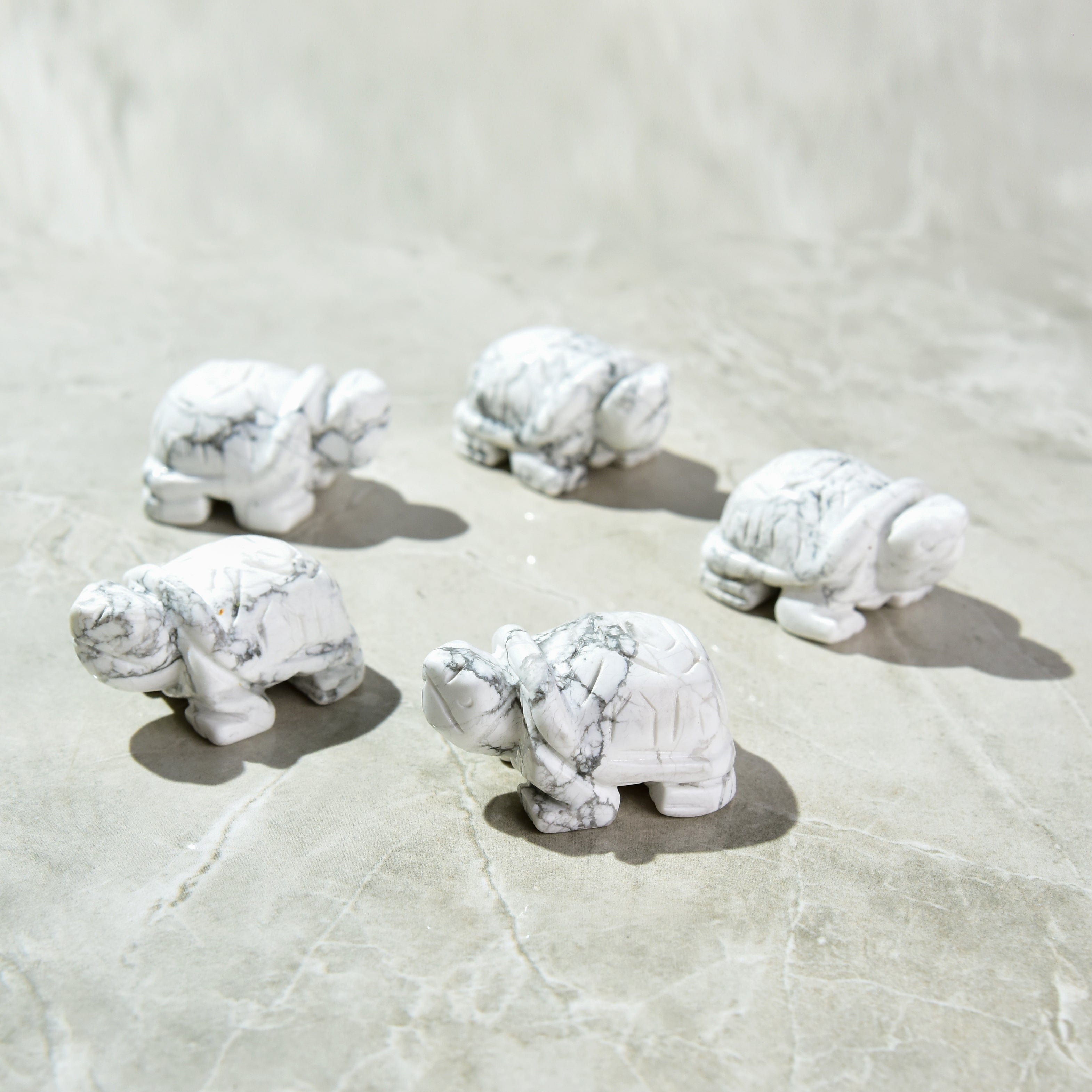 Kalifano Gemstone Carvings Howlite Turtle 2'' Natural Gemstone Carving CV14-T-HT