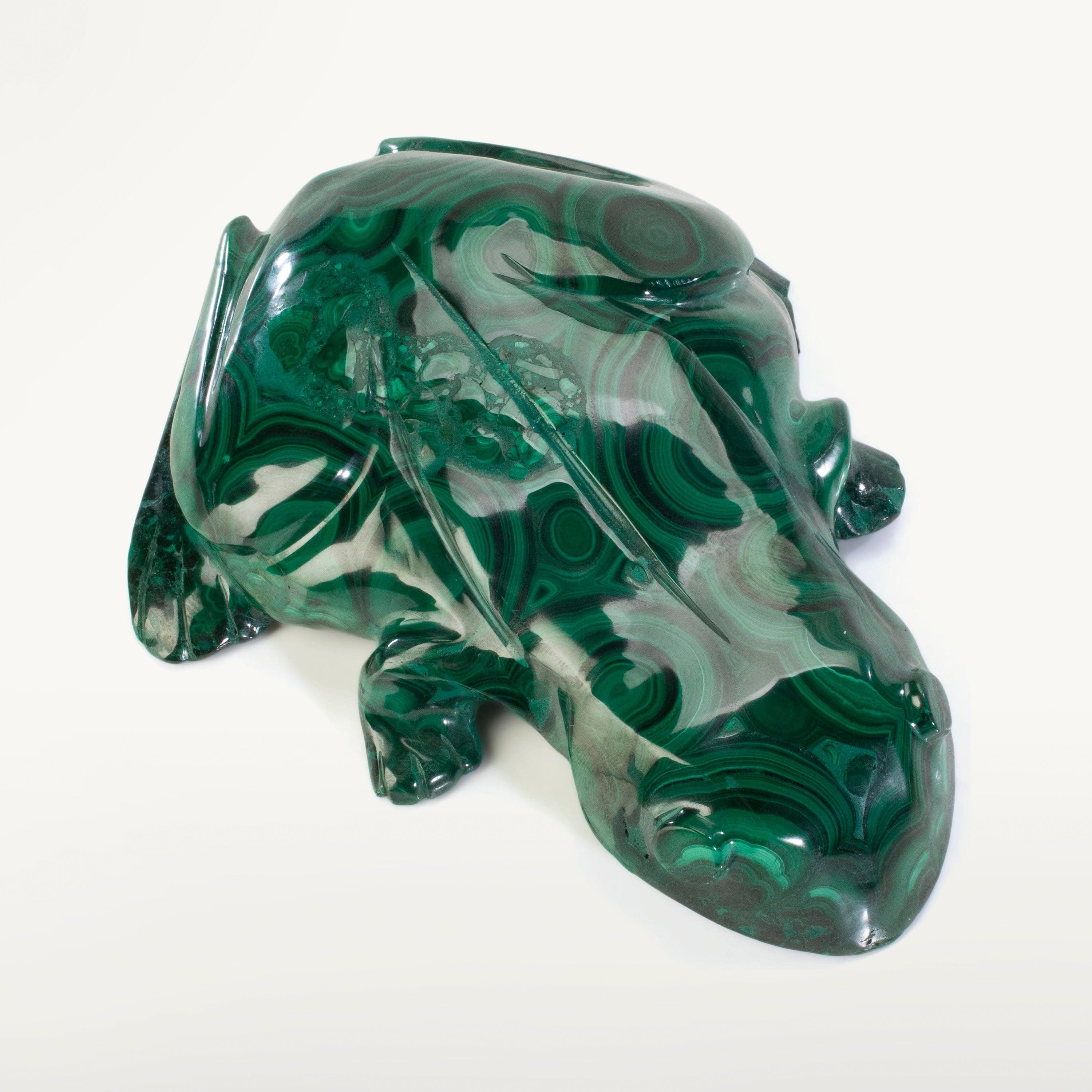 Kalifano Malachite Malachite Frog Carving 7" / 1,780g CV5600-MA.001