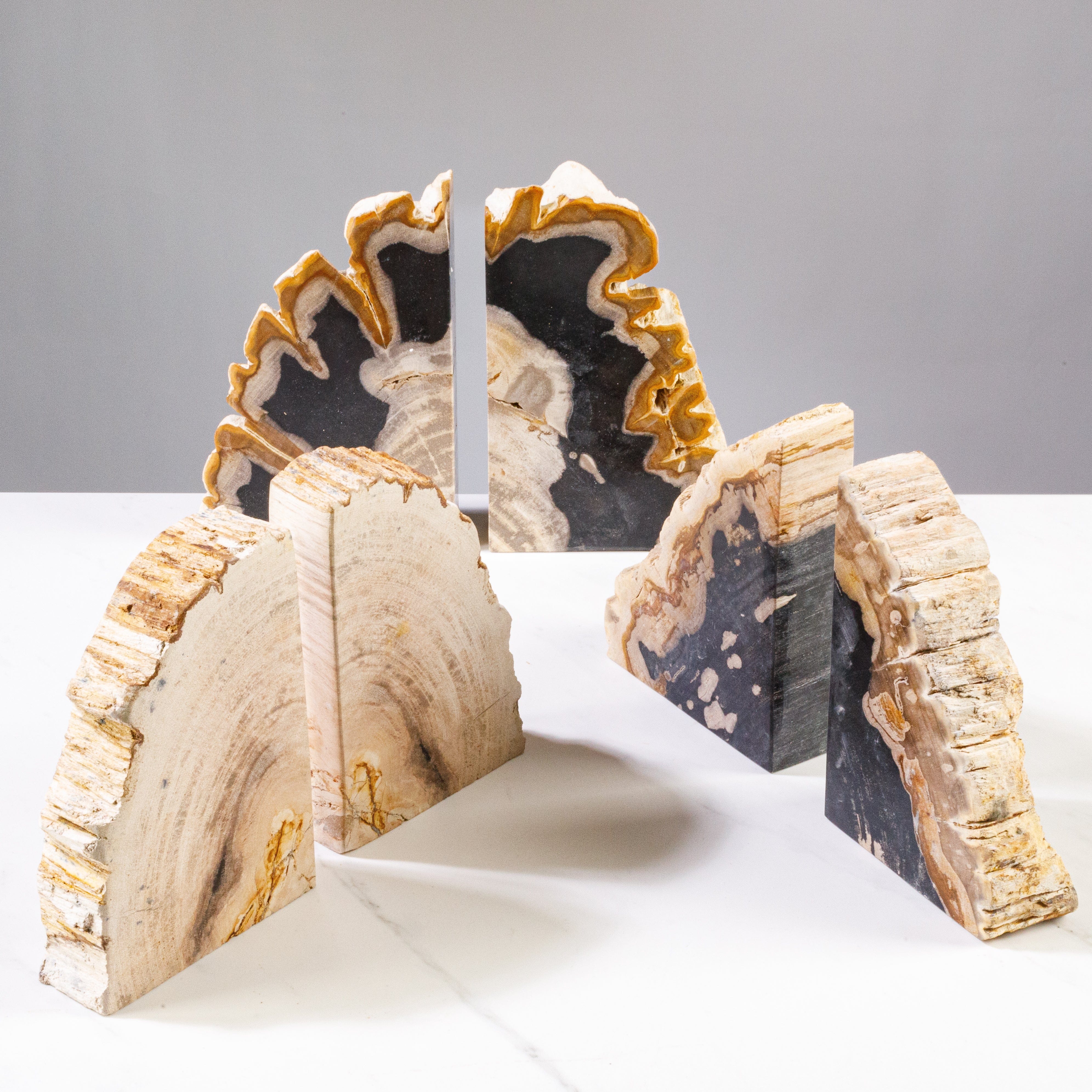 Kalifano Petrified Wood 10" Black Petrified Wood Bookend Pair PWB250-BK