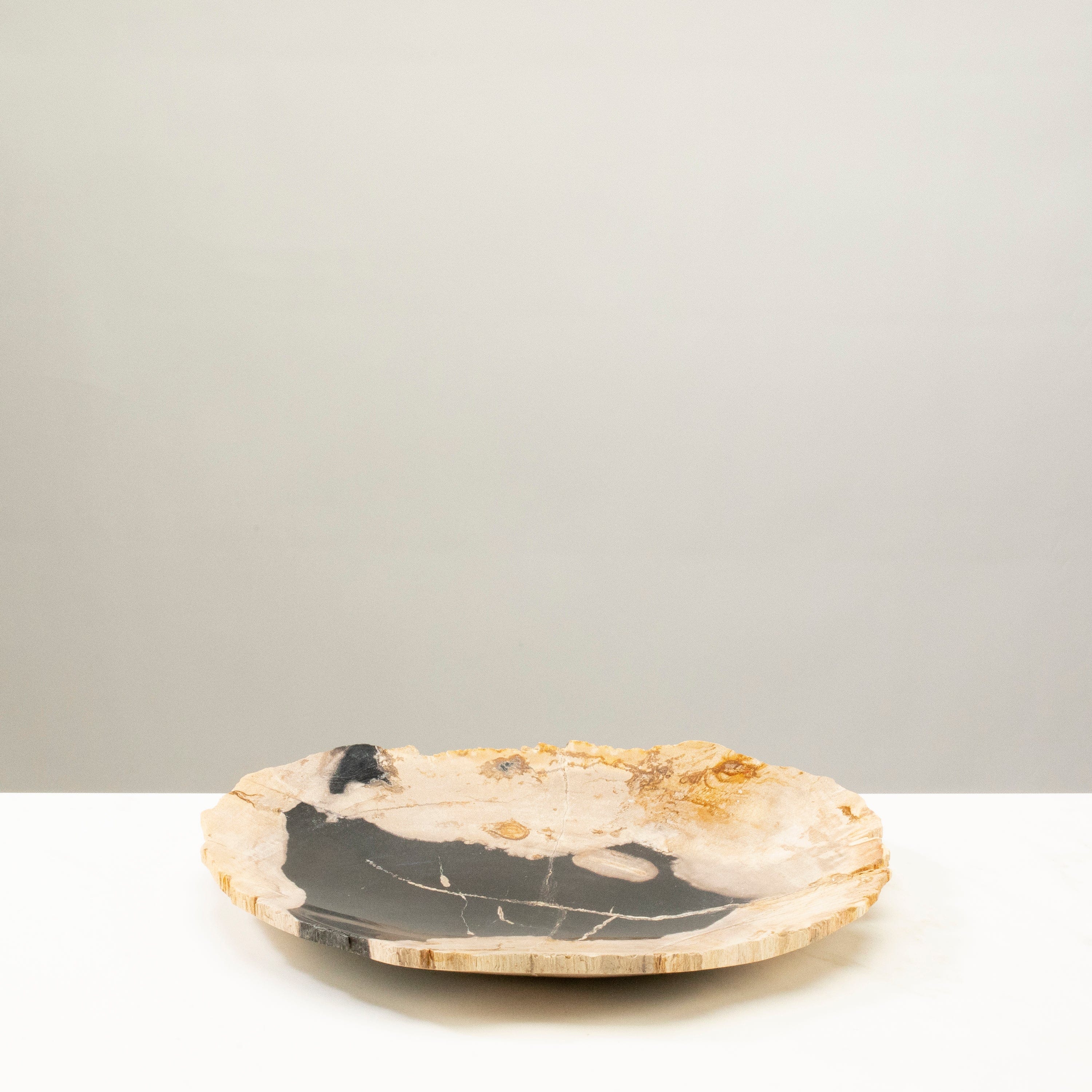 Kalifano Petrified Wood 12" Black Petrified Wood Plate PWPL400-BK