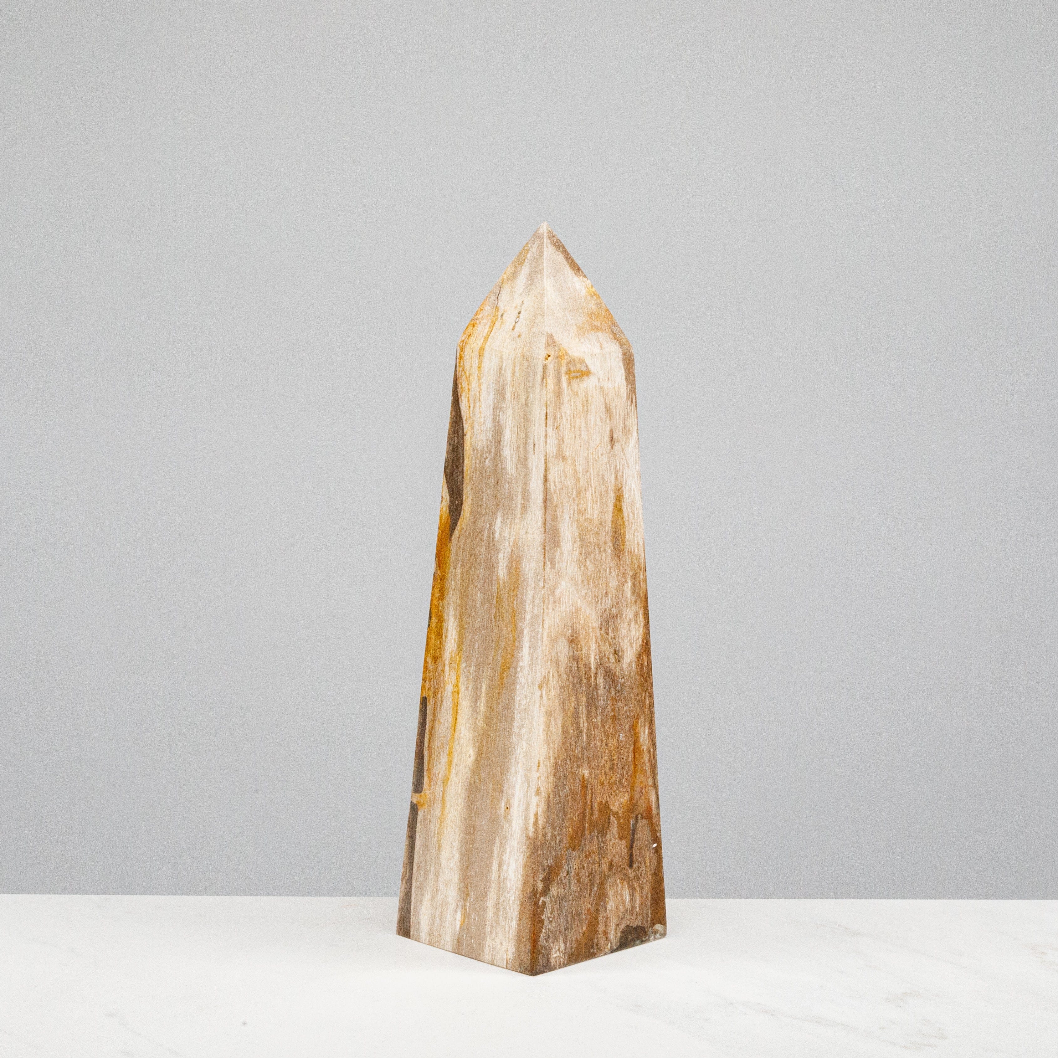 Kalifano Petrified Wood 12" Brown Petrified Wood Obelisk Point PWOB250-BN