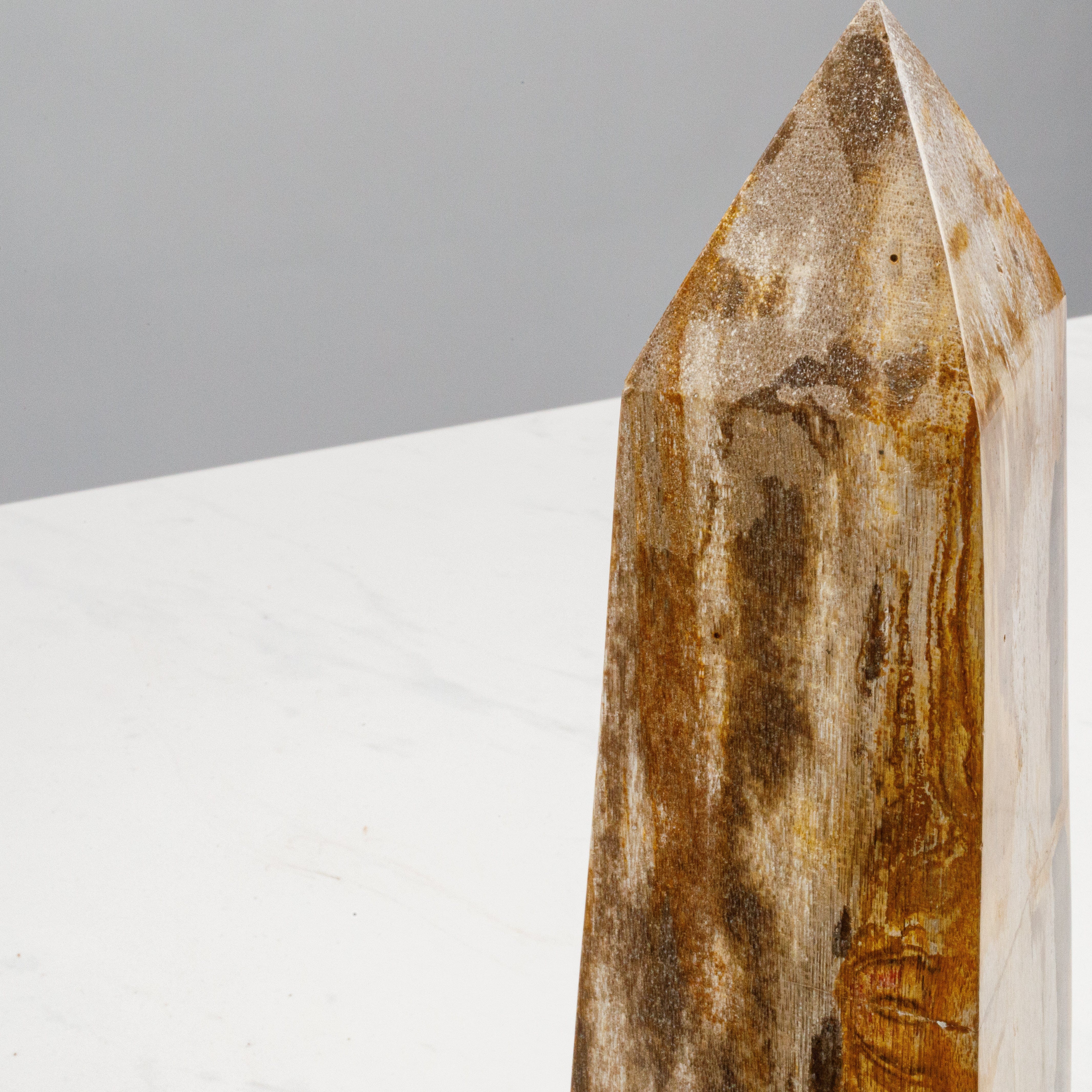 Kalifano Petrified Wood 12" Brown Petrified Wood Obelisk Point PWOB250-BN