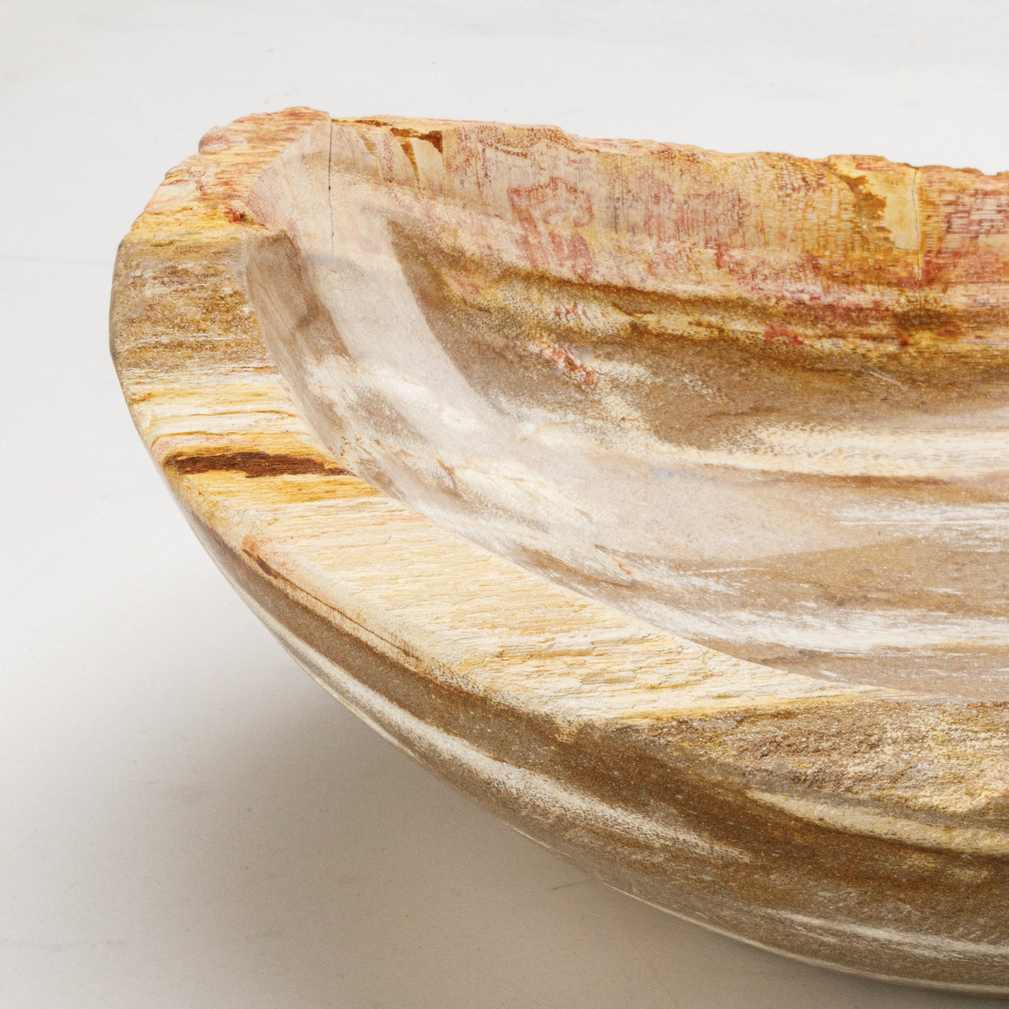 Kalifano Petrified Wood 13" Brown Petrified Wood Bowl PWBO700-BN