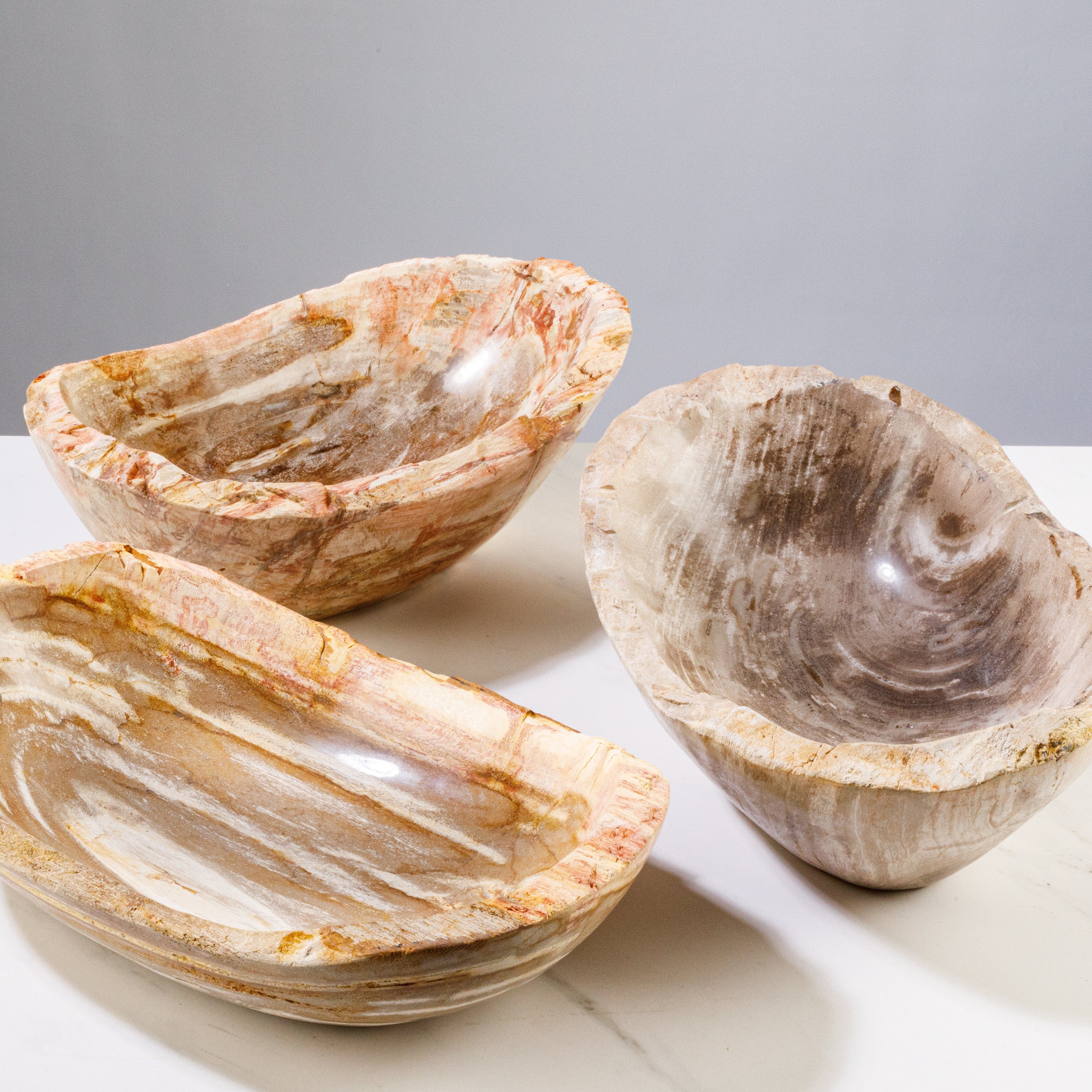 Kalifano Petrified Wood 13" Brown Petrified Wood Bowl PWBO700-BN