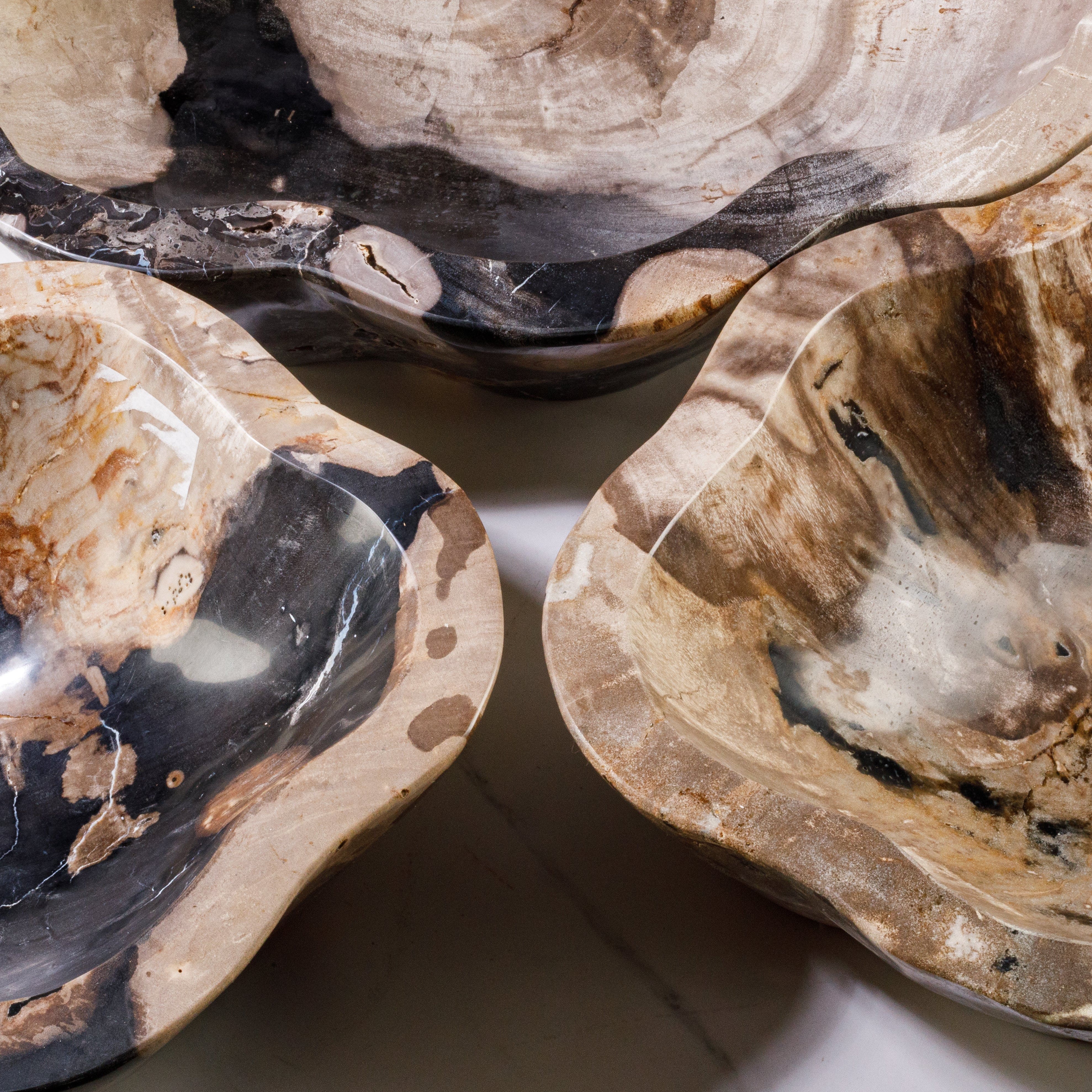 Kalifano Petrified Wood 24" Black Petrified Wood Flower Bowl PWBO3500-BK