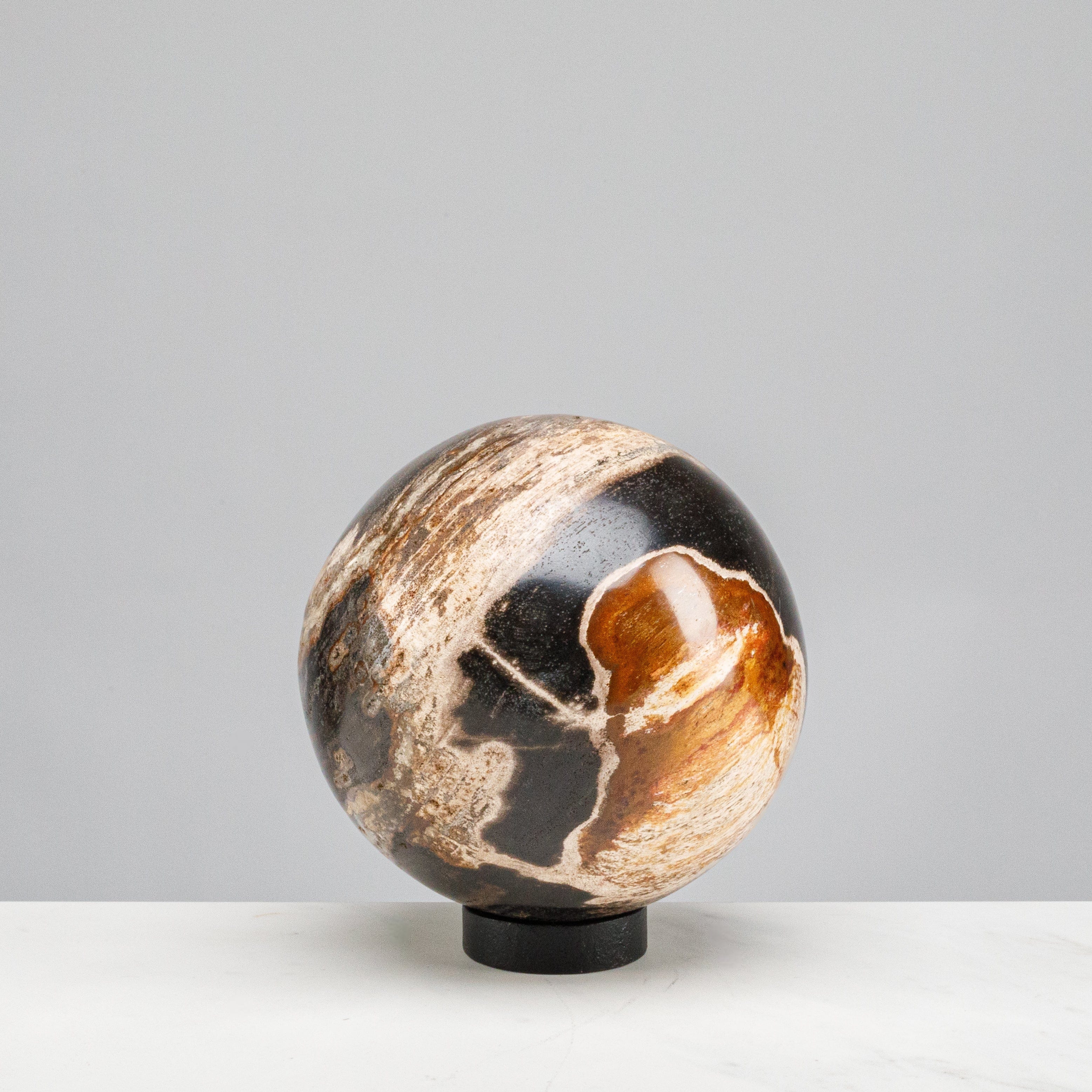 Kalifano Petrified Wood 5" Black Petrified Wood Sphere PWSP200-BK