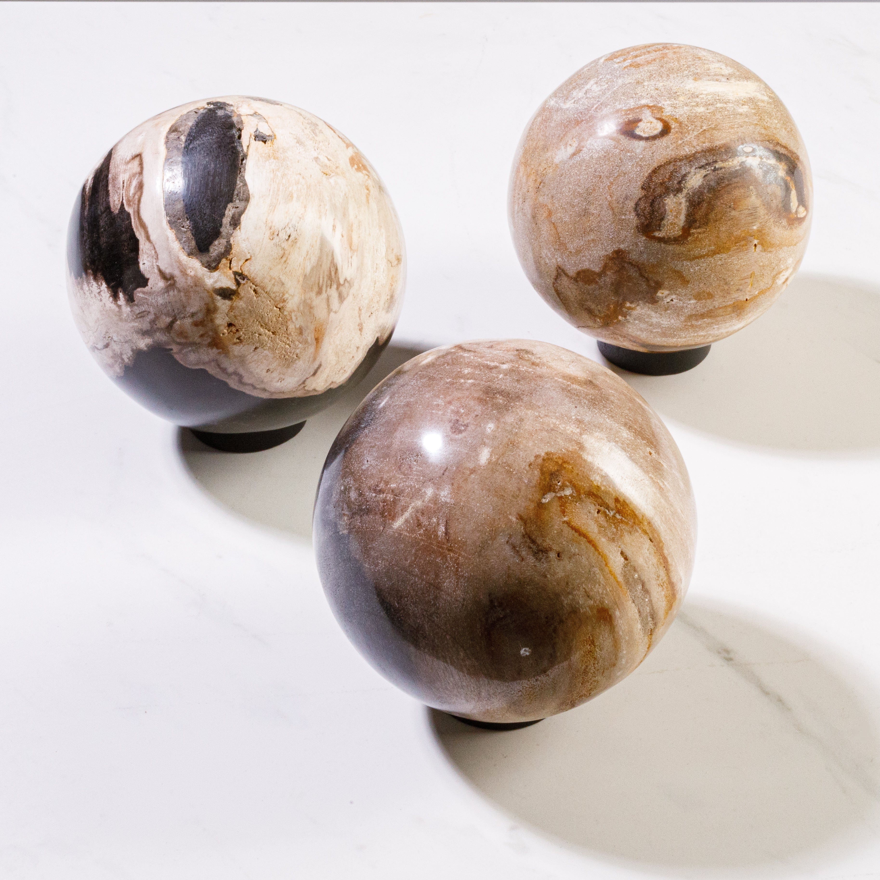 Kalifano Petrified Wood 5" Brown Petrified Wood Sphere PWSP200-BN