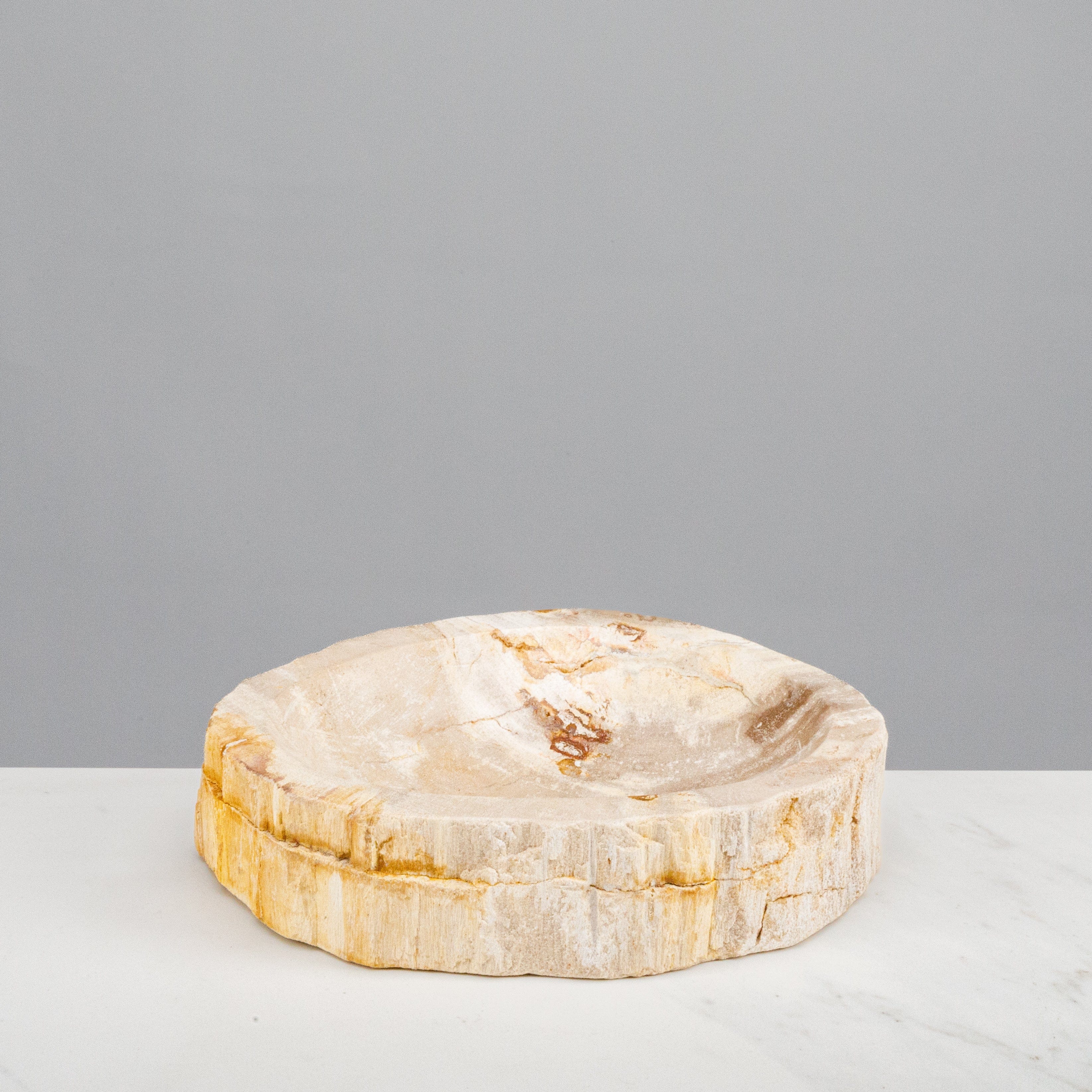 Kalifano Petrified Wood 7" Brown Petrified Wood Ashtray PWAT250-BN
