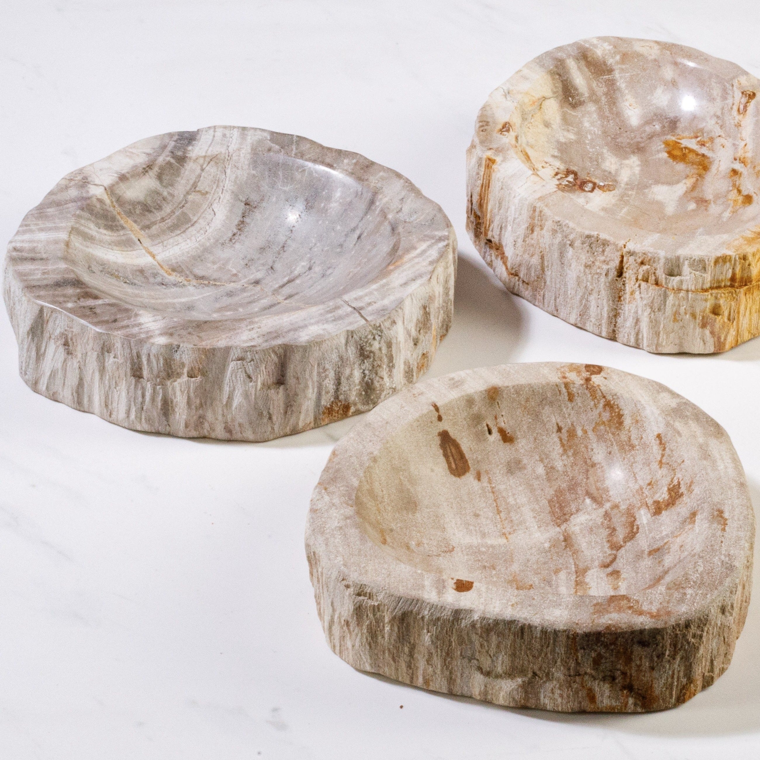Kalifano Petrified Wood 7" Brown Petrified Wood Ashtray PWAT250-BN