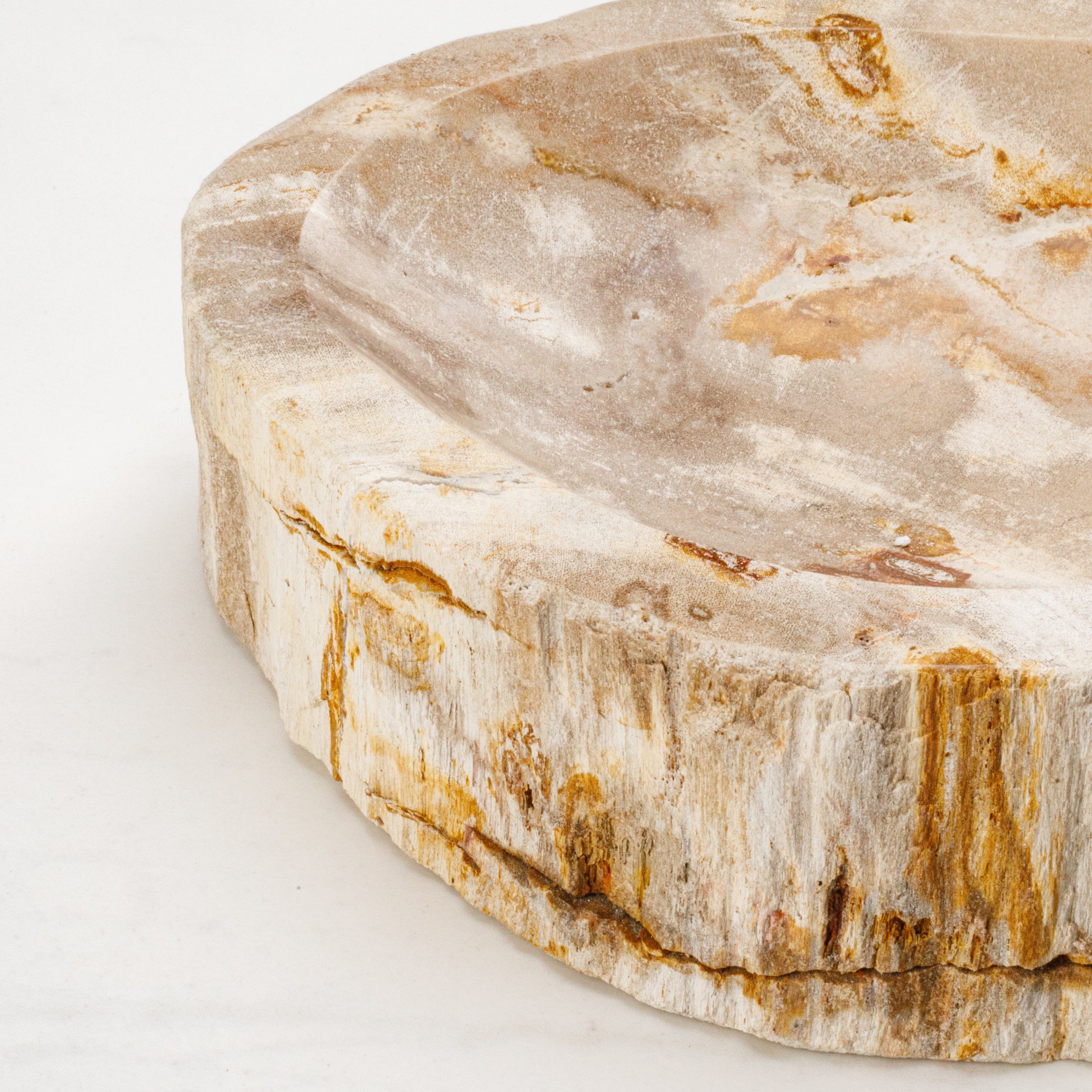 Kalifano Petrified Wood 7" Brown Petrified Wood Ashtray PWAT250-BN