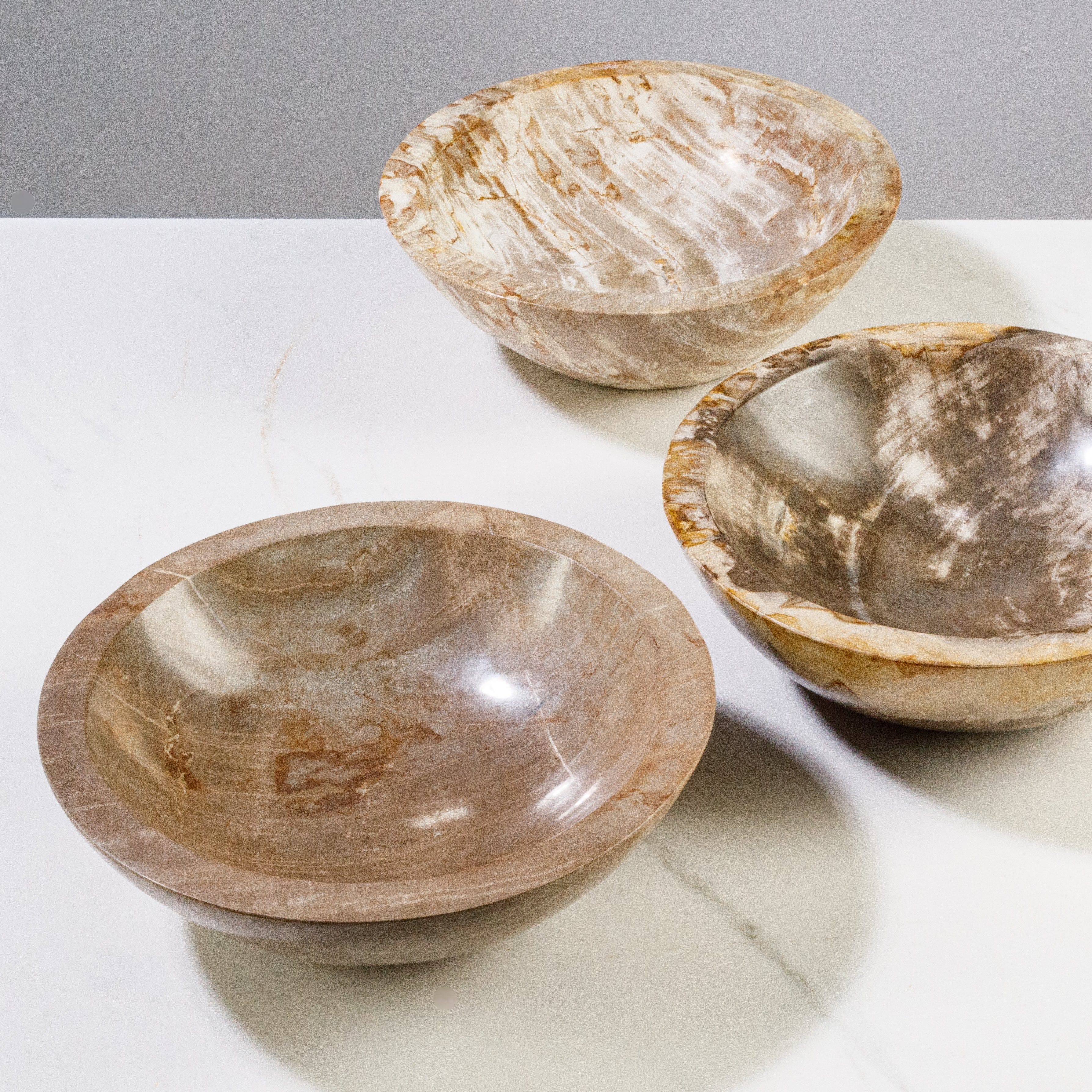 Kalifano Petrified Wood 9" Brown Small Petrified Wood Bowl PWBO500-BN
