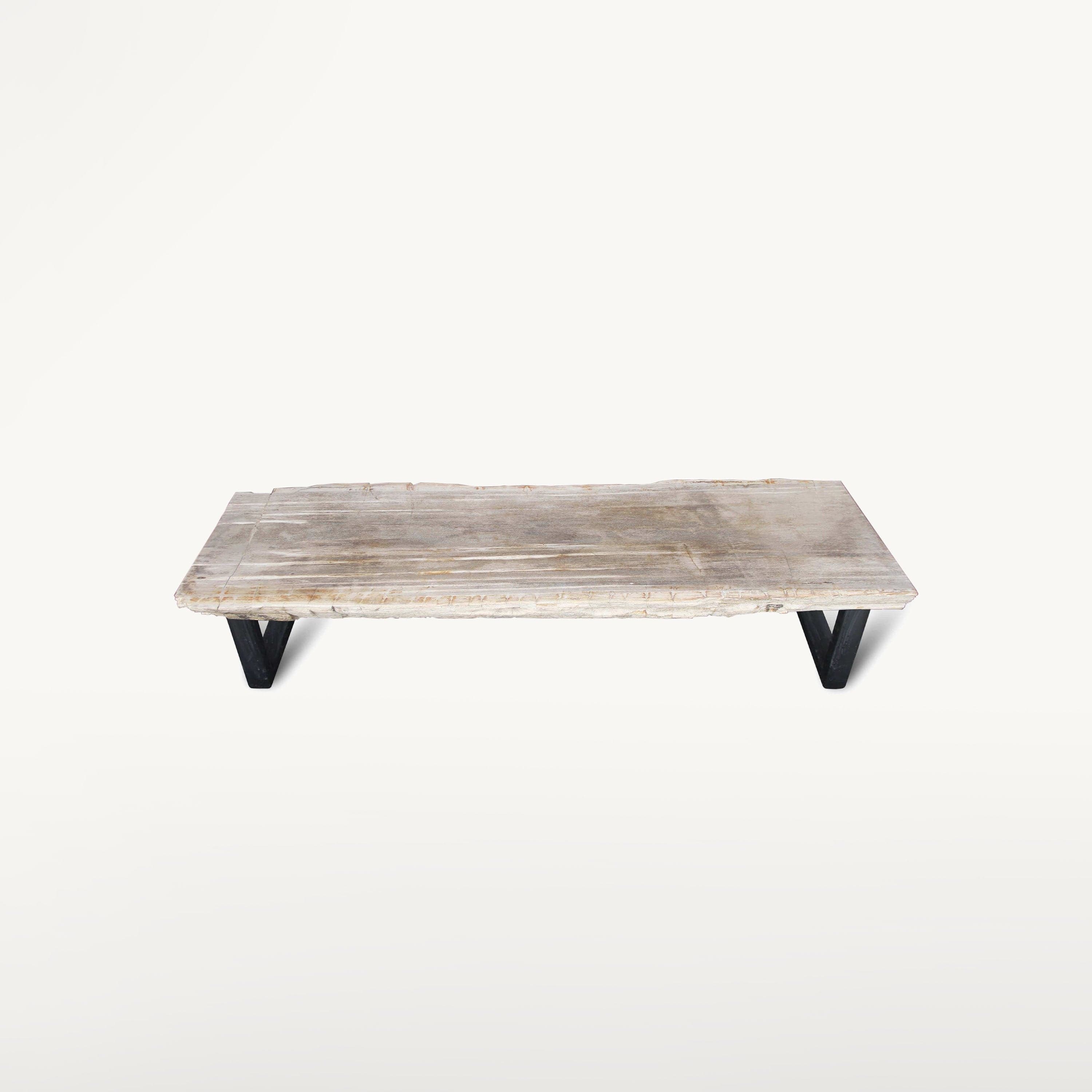 Kalifano Petrified Wood Natural Polished Petrified Wood Rectangular Bench from Indonesia - 53" / 196 lbs PWR10700.001