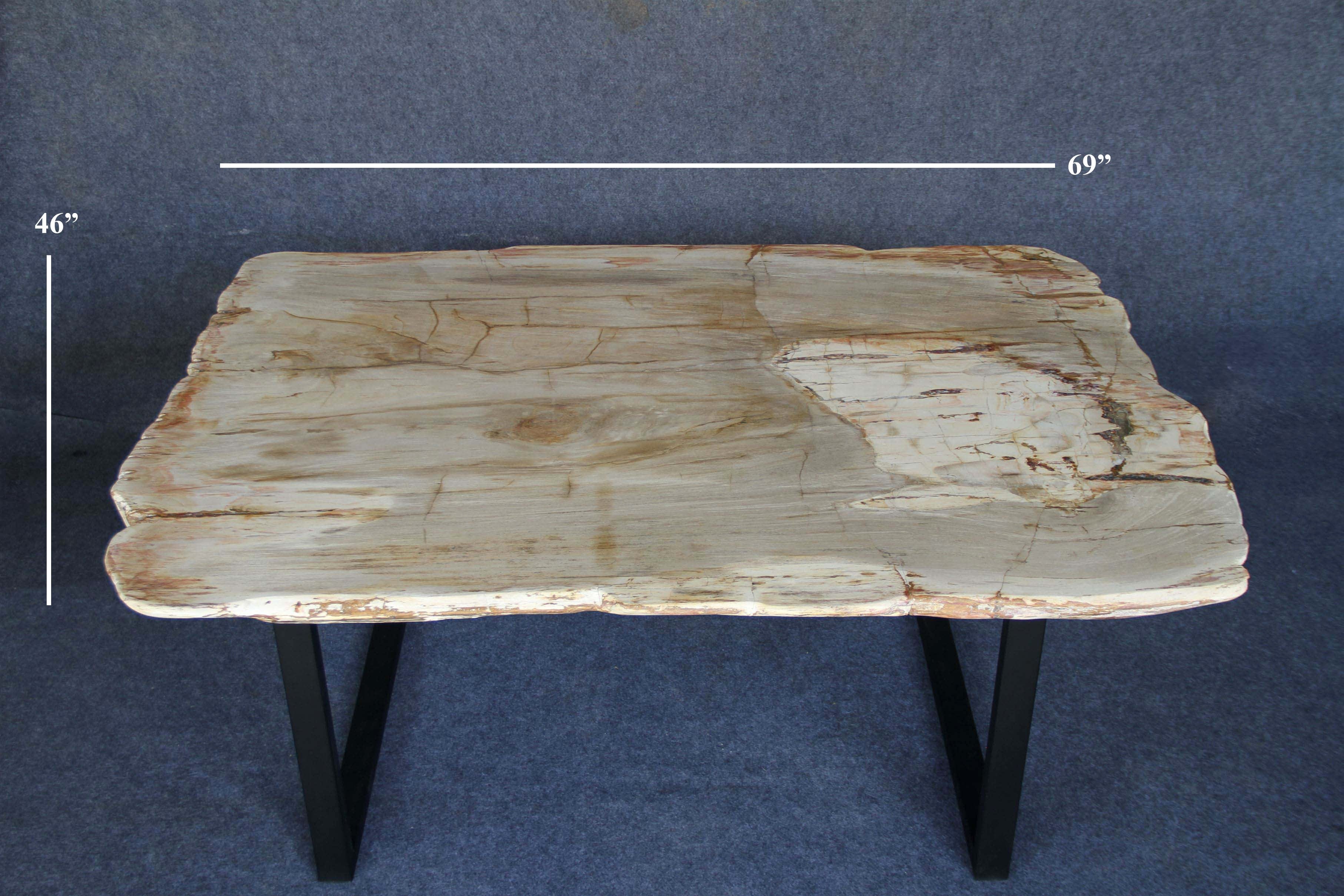 Kalifano Petrified Wood Petrified Wood Console Table 69" / 590 lbs PWR21500.001