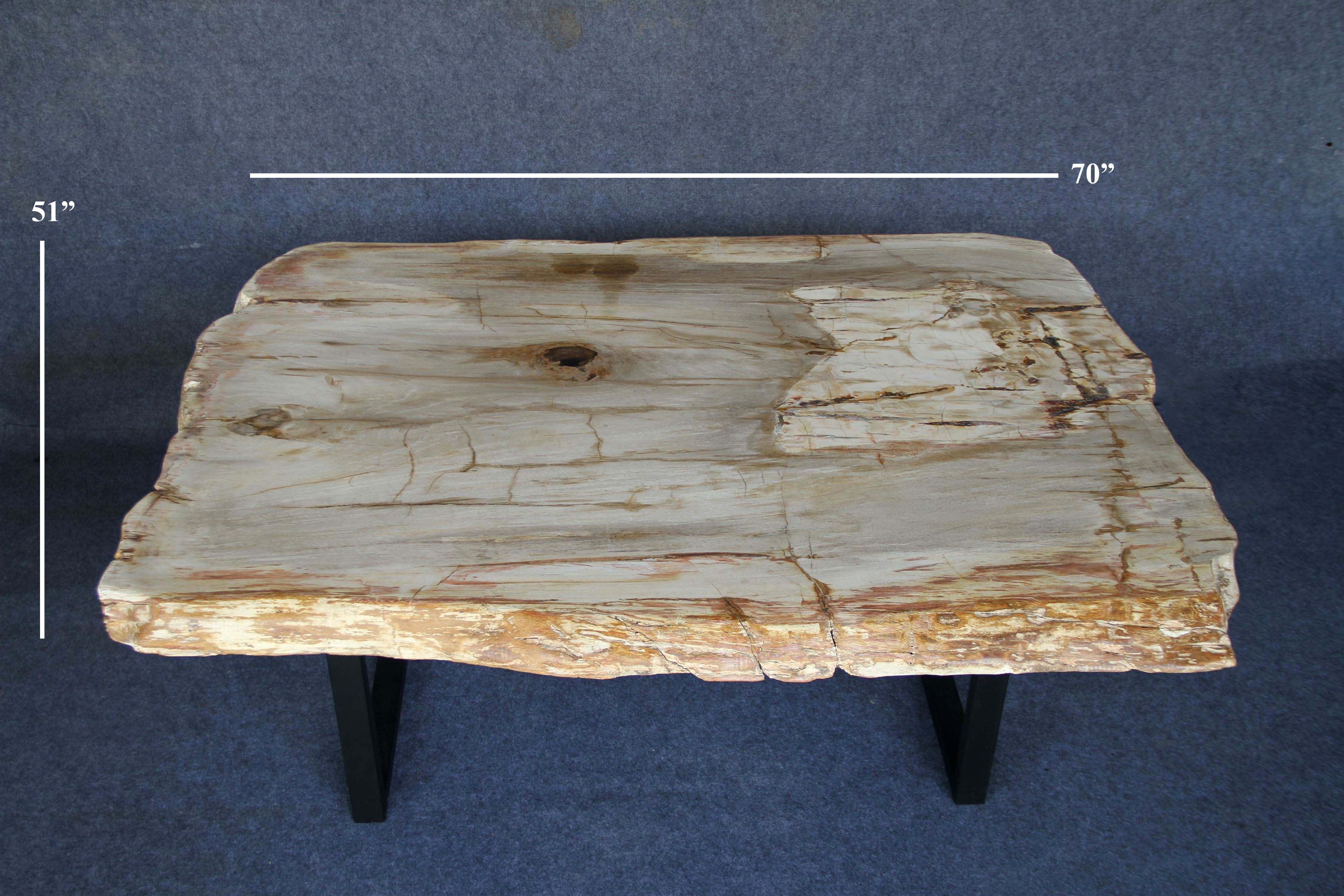 Kalifano Petrified Wood Petrified Wood Console Table 70" / 759 lbs PWR28000.001