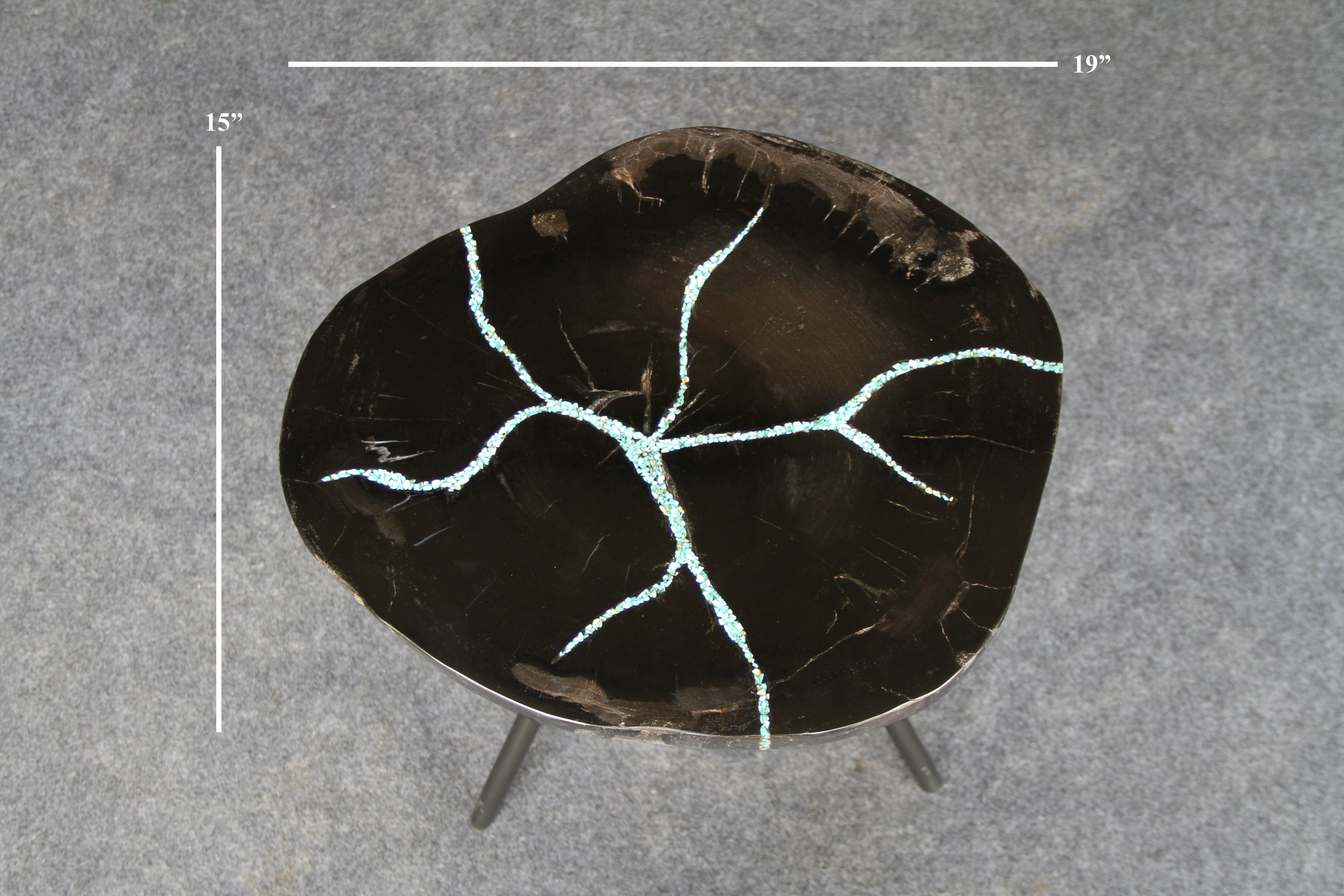 Kalifano Petrified Wood Petrified Wood Round Coffee Howlite Turquoise Inlayed Table 19" / 35 lbs PWTTQ1500.005