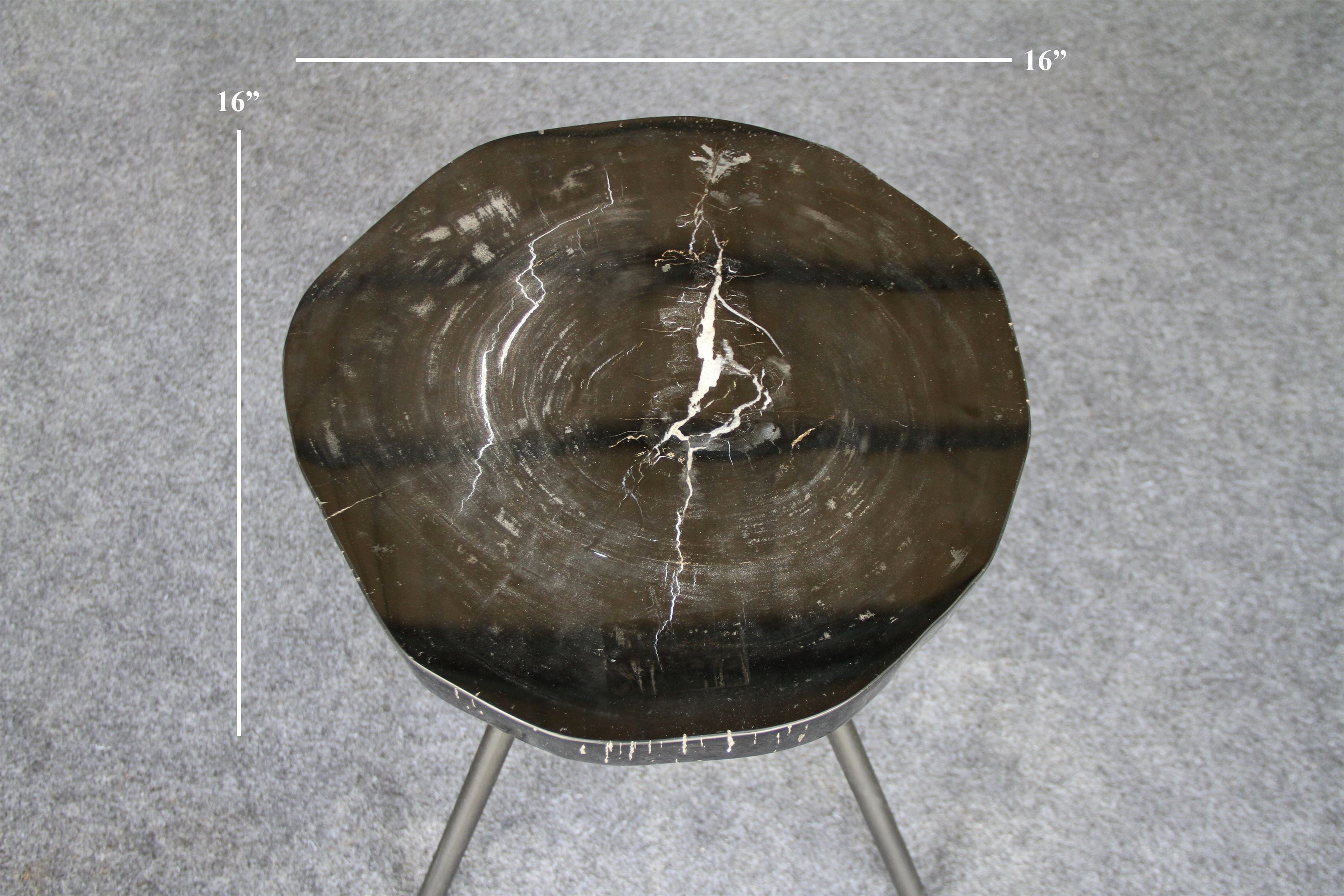 Kalifano Petrified Wood Petrified Wood Round Coffee Table 16" / 22 lbs PWT800.004