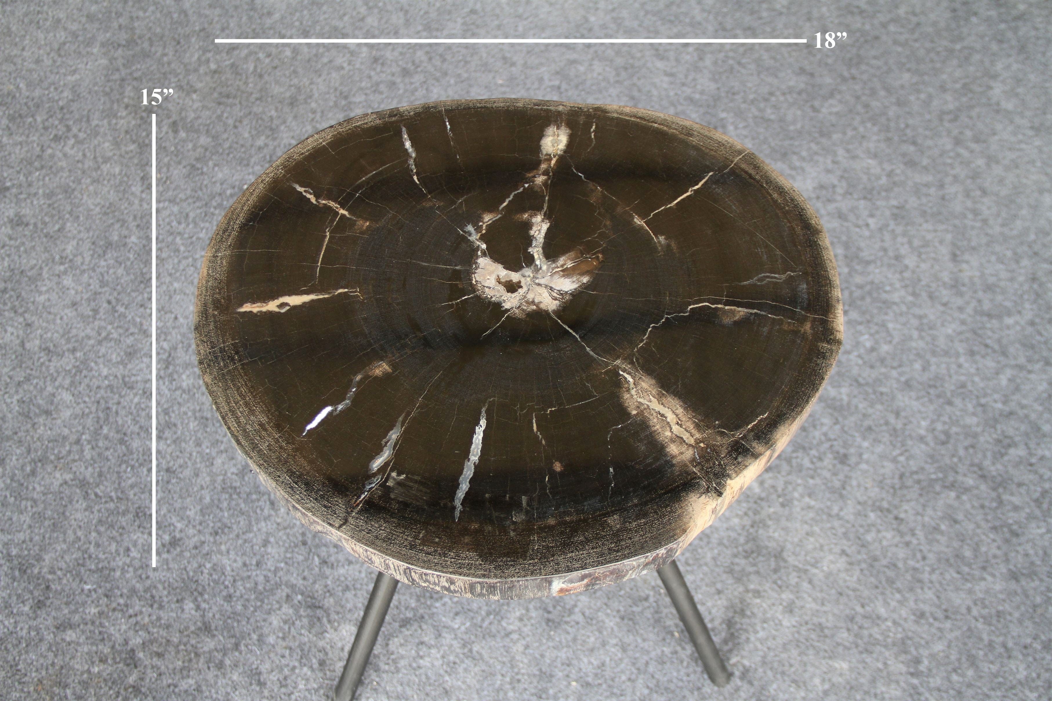 Kalifano Petrified Wood Petrified Wood Round Coffee Table 18" / 22 lbs PWT900.002