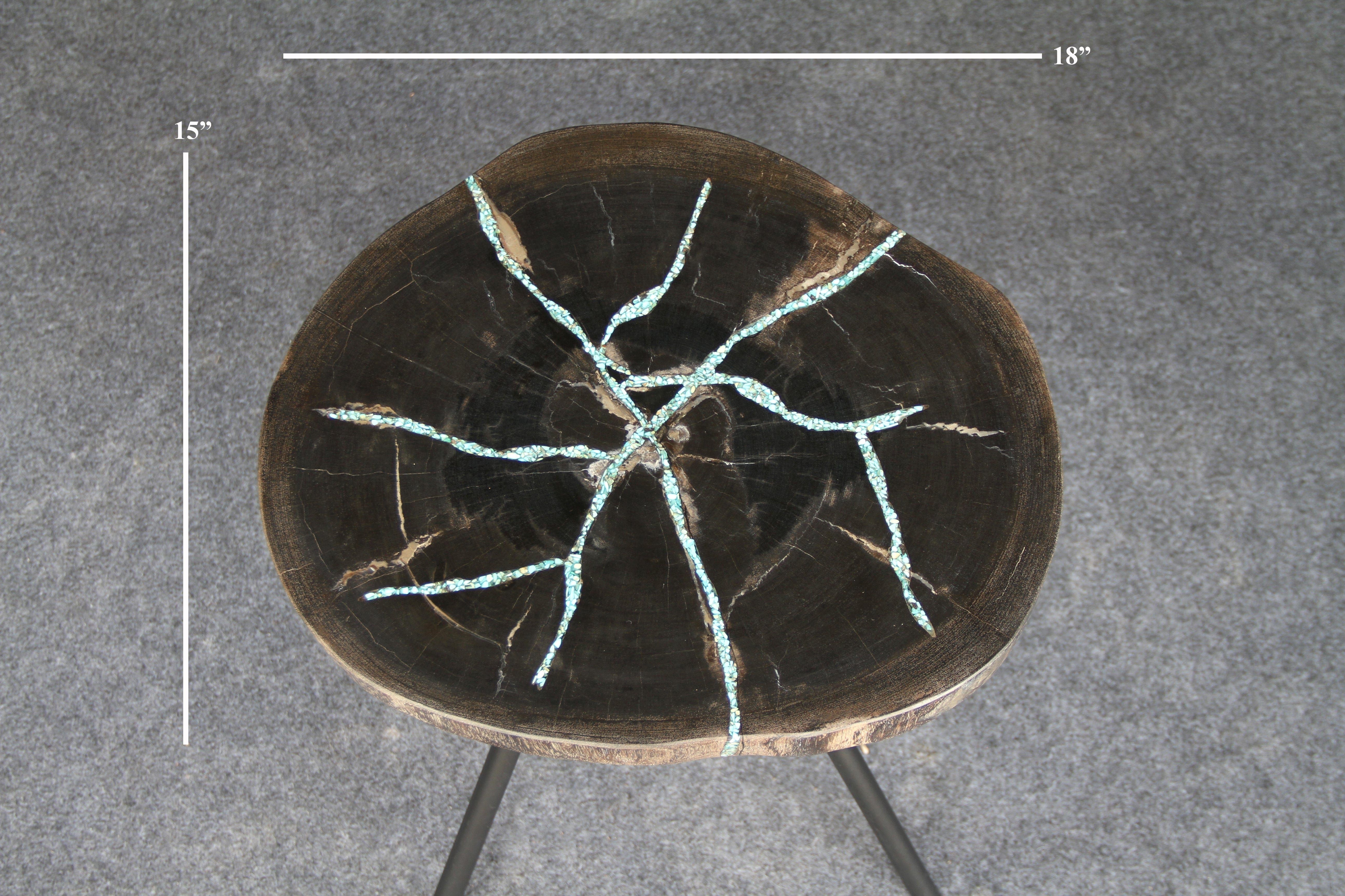 Kalifano Petrified Wood Petrified Wood Round Coffee Table 18" / 22 lbs PWT900.004