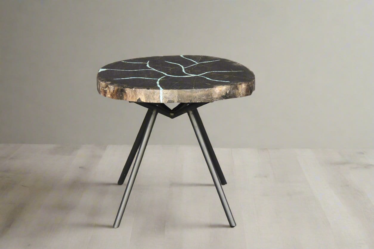 Kalifano Petrified Wood Petrified Wood Round Coffee Table 18" / 24 lbs PWT1000.002