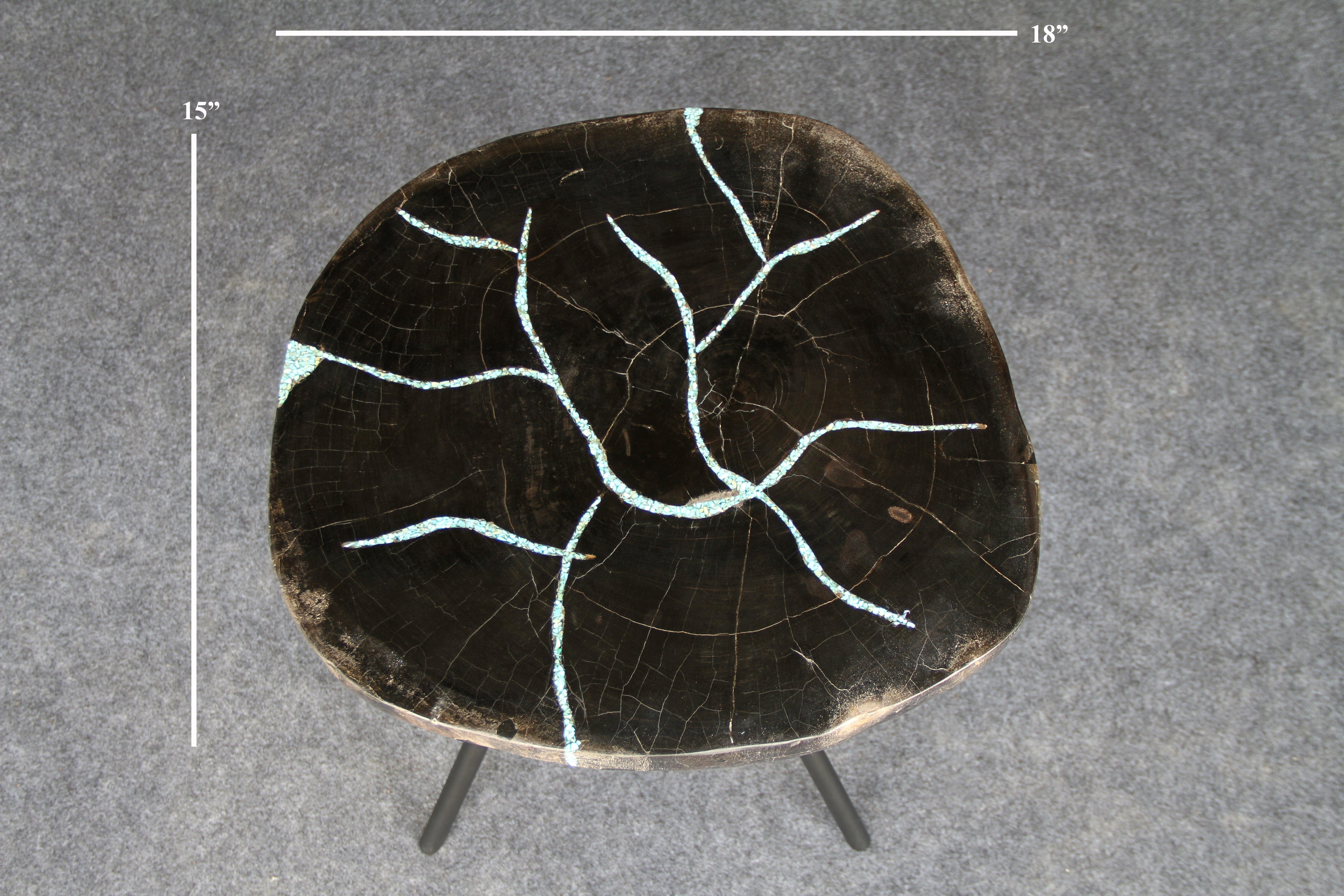 Kalifano Petrified Wood Petrified Wood Round Coffee Table 18" / 24 lbs PWT1000.002