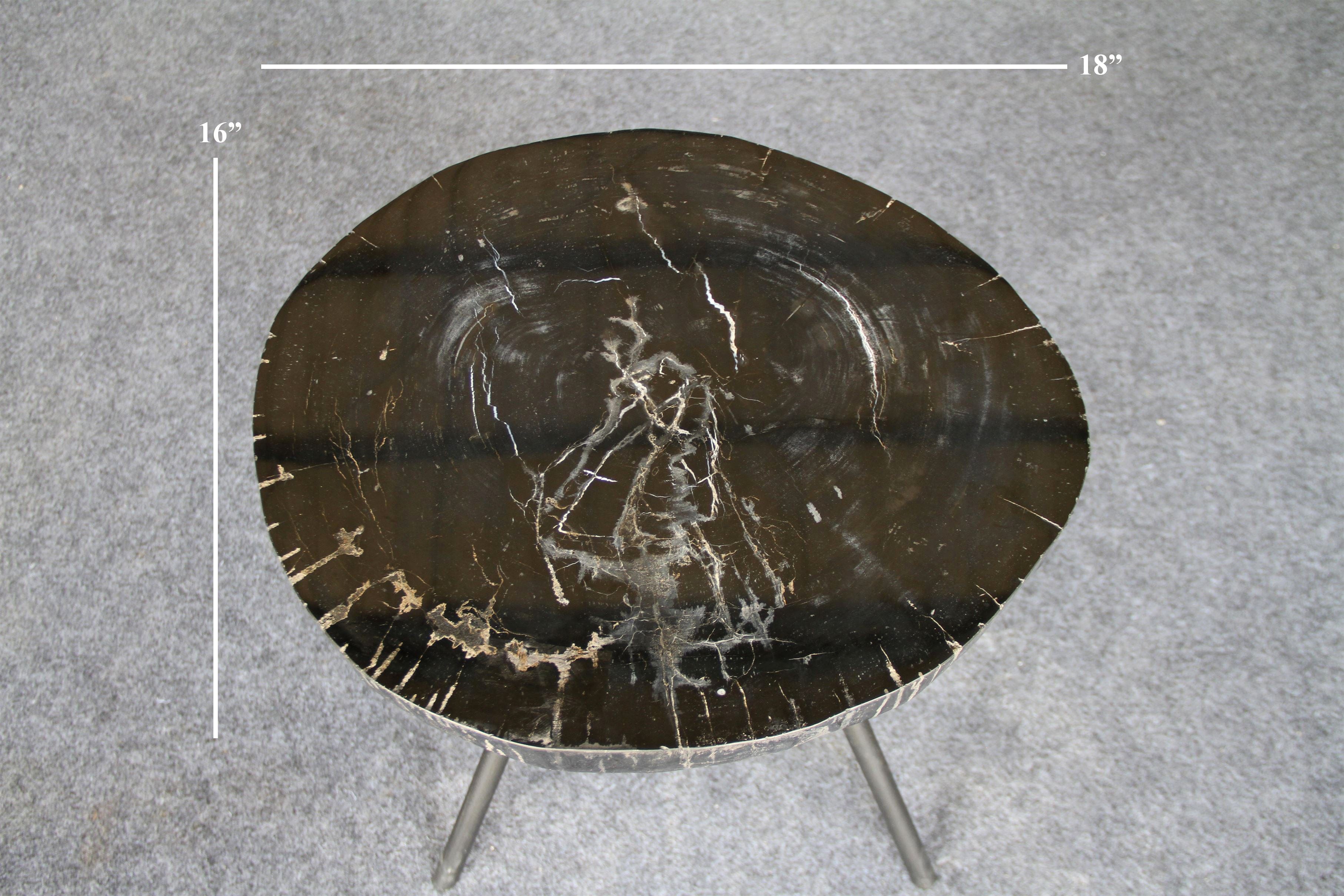 Kalifano Petrified Wood Petrified Wood Round Coffee Table 18" / 29 lbs PWT1100.001