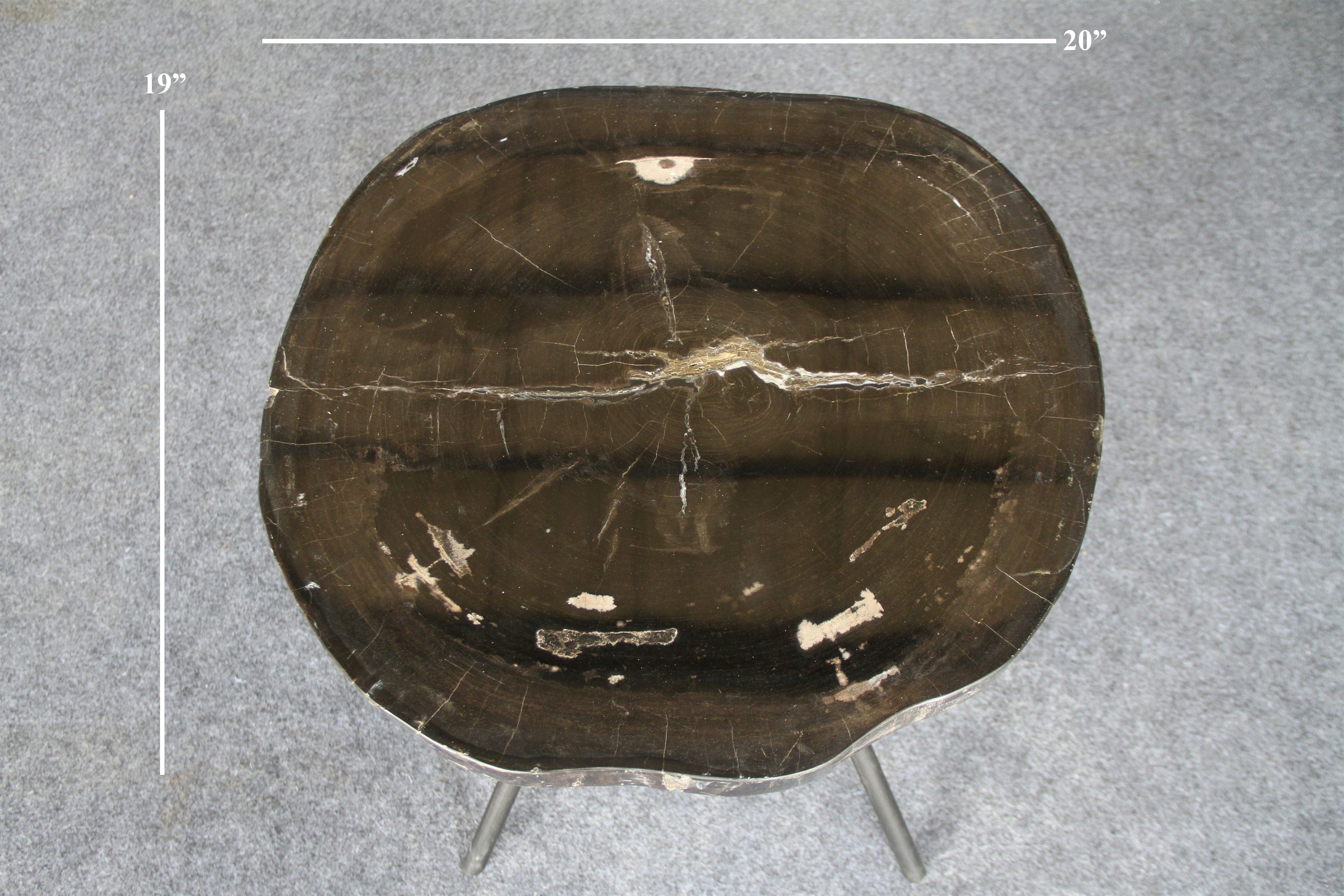 Kalifano Petrified Wood Petrified Wood Round Coffee Table 20" / 37 lbs PWT1400.001