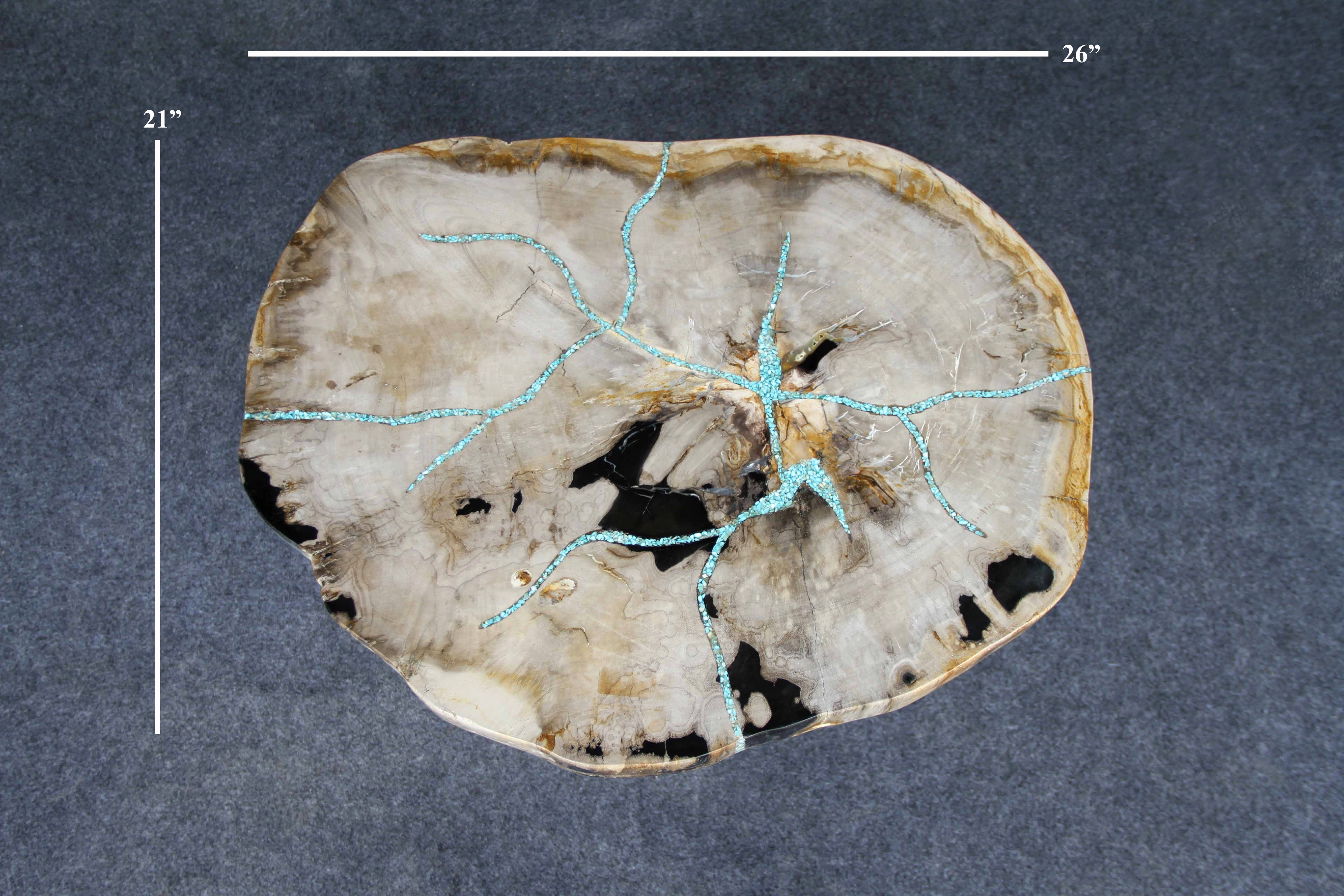 Kalifano Petrified Wood Petrified Wood Round Coffee Table 26" / 77 lbs PWT2800.009