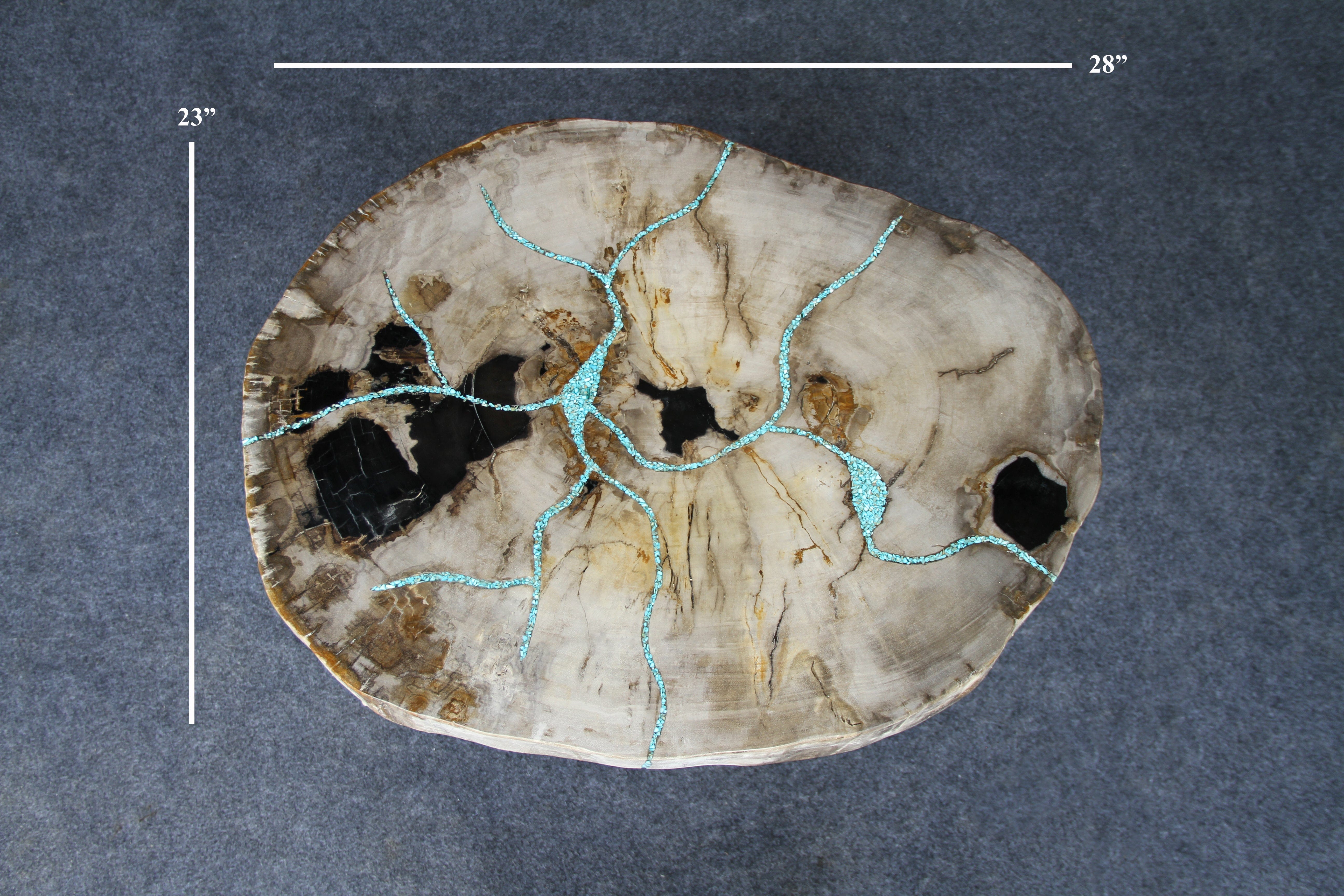 Kalifano Petrified Wood Petrified Wood Round Coffee Table 28" / 112 lbs PWT4200.002
