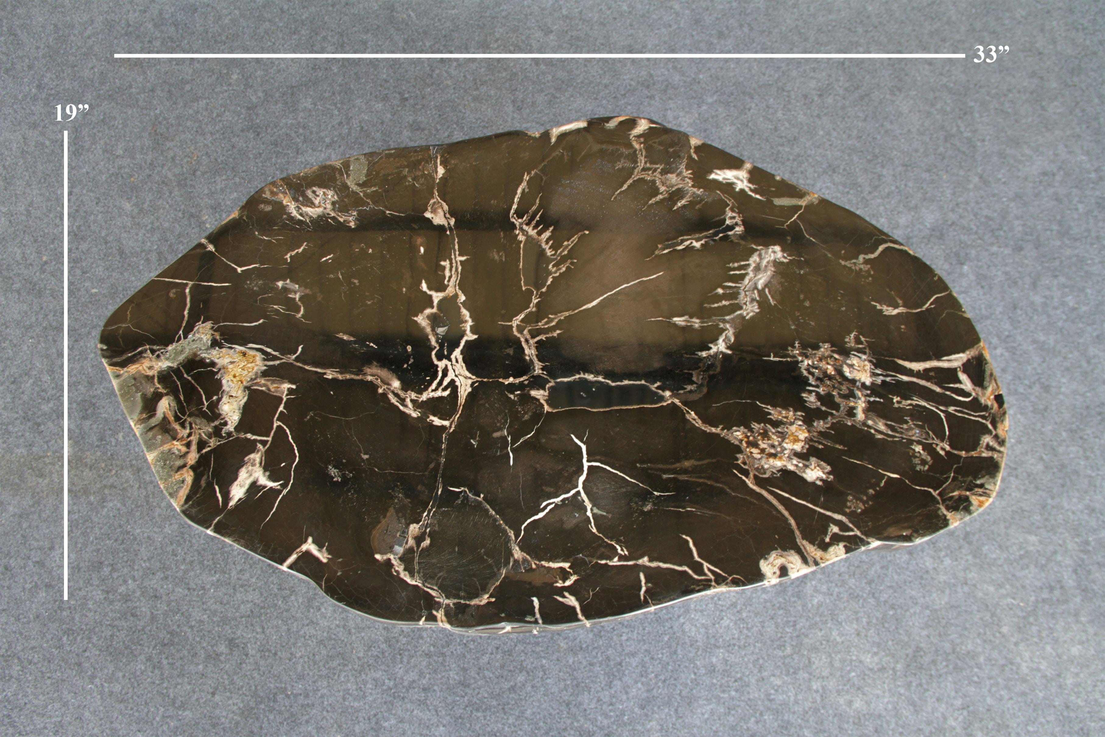 Kalifano Petrified Wood Petrified Wood Round Coffee Table 33" / 66 lbs PWT2500.001