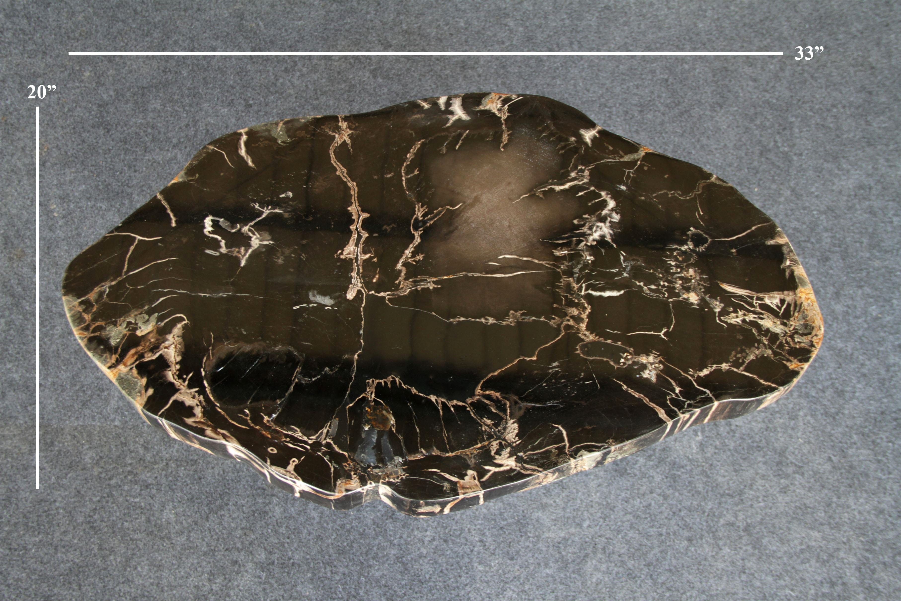 Kalifano Petrified Wood Petrified Wood Round Coffee Table 33" / 79 lbs PWT3000.009