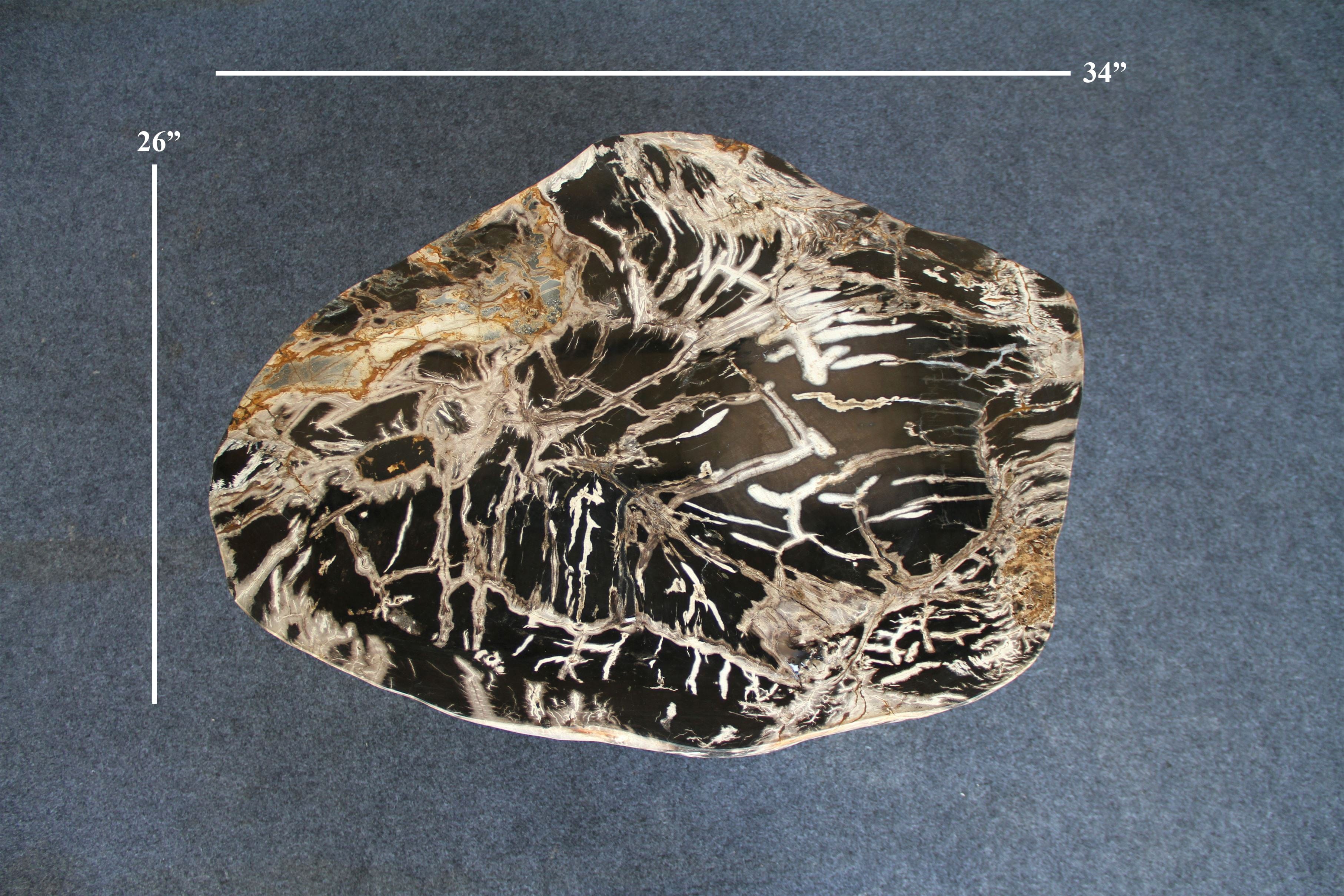 Kalifano Petrified Wood Petrified Wood Round Coffee Table 34" / 106 lbs PWT4000.005