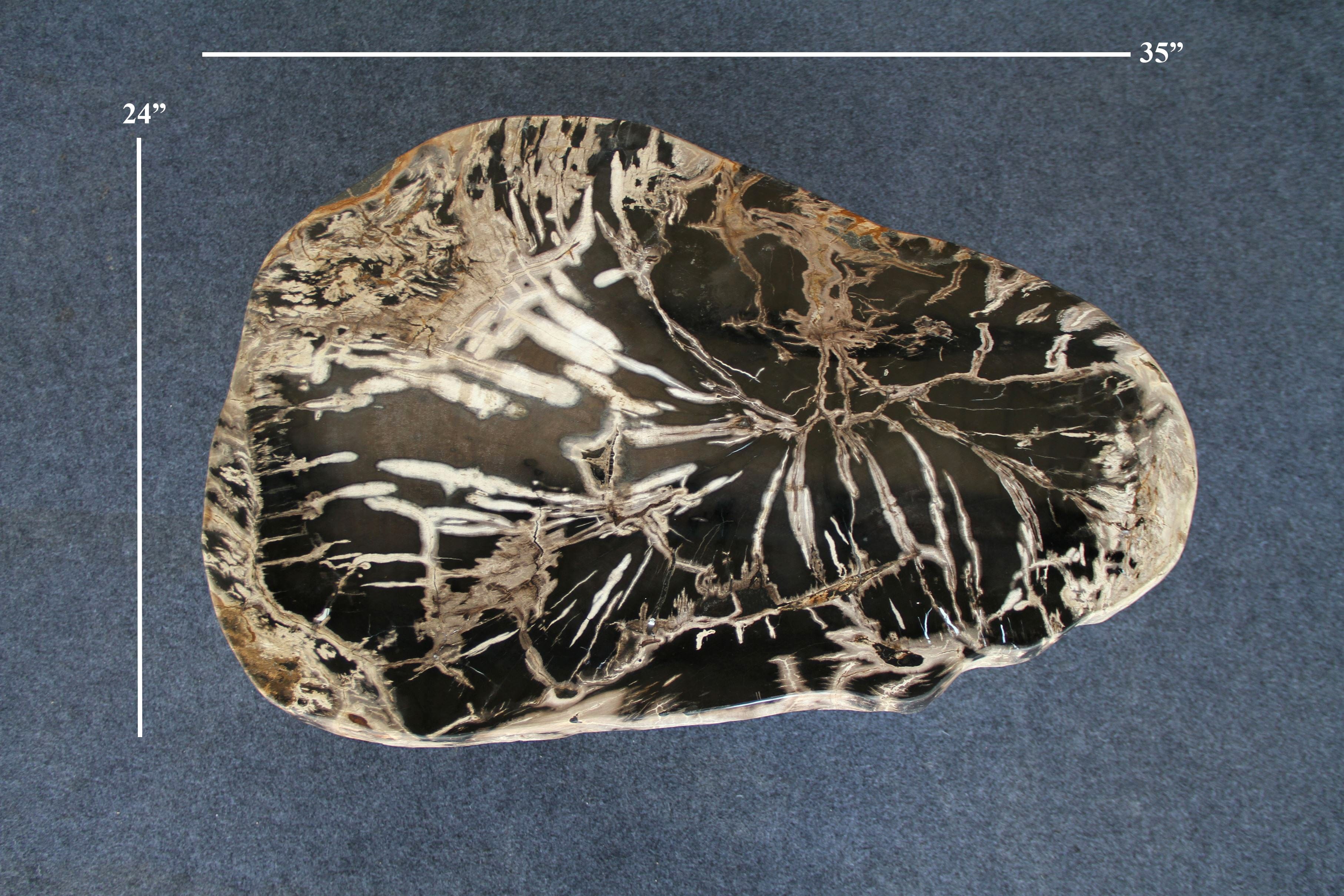 Kalifano Petrified Wood Petrified Wood Round Coffee Table 35" / 103 lbs PWT4000.003
