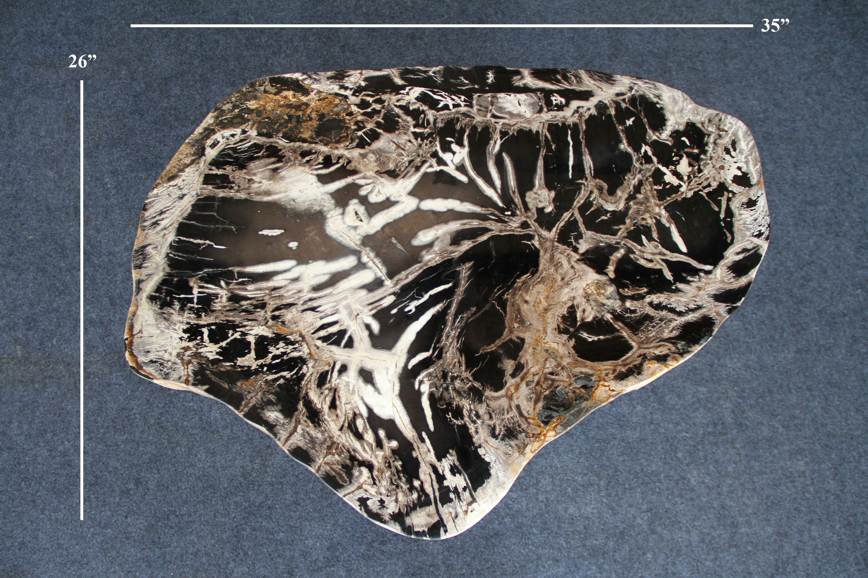 Kalifano Petrified Wood Petrified Wood Round Coffee Table 35" / 106 lbs PWT4000.004