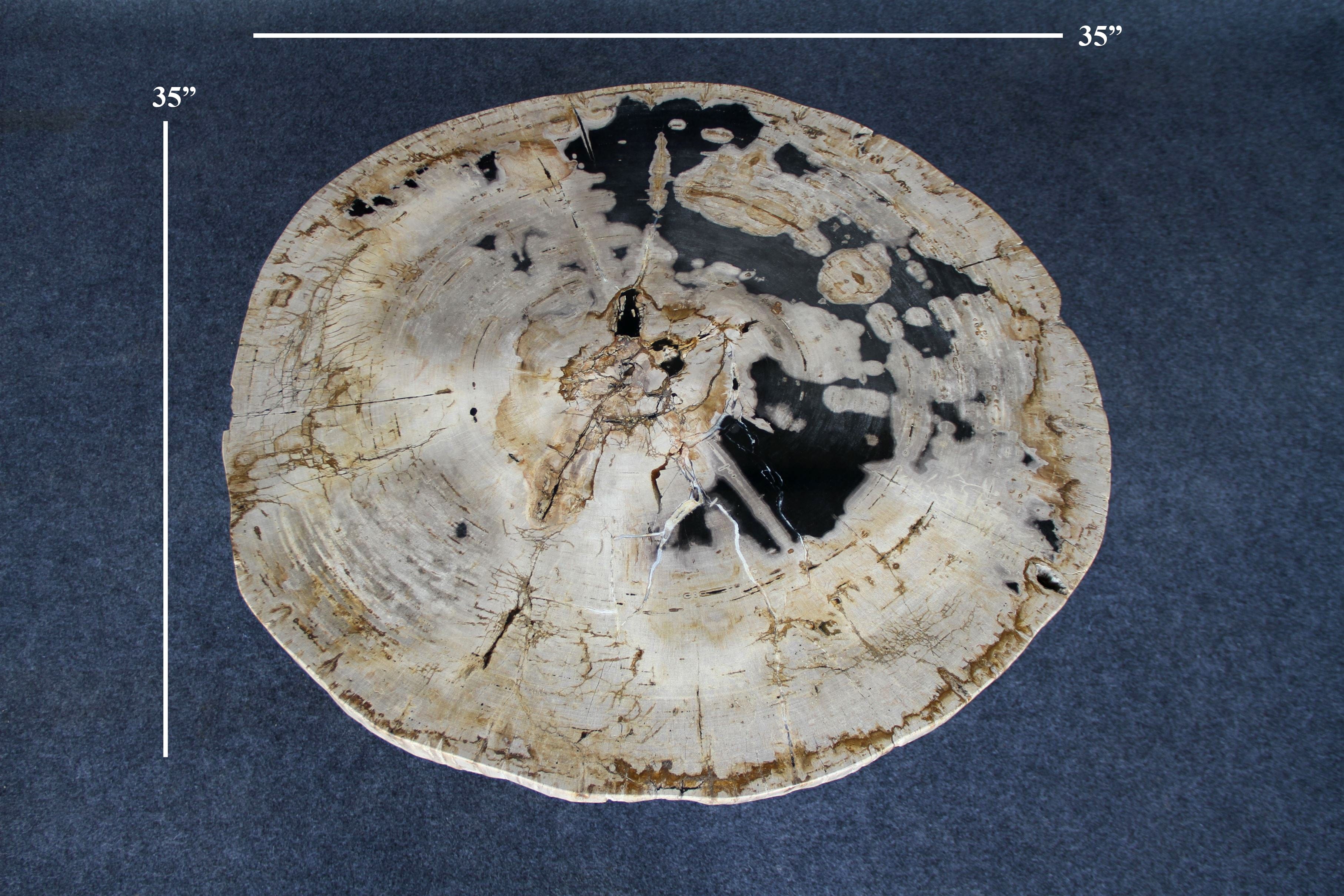 Kalifano Petrified Wood Petrified Wood Round Coffee Table 35" / 187 lbs PWT7000.003