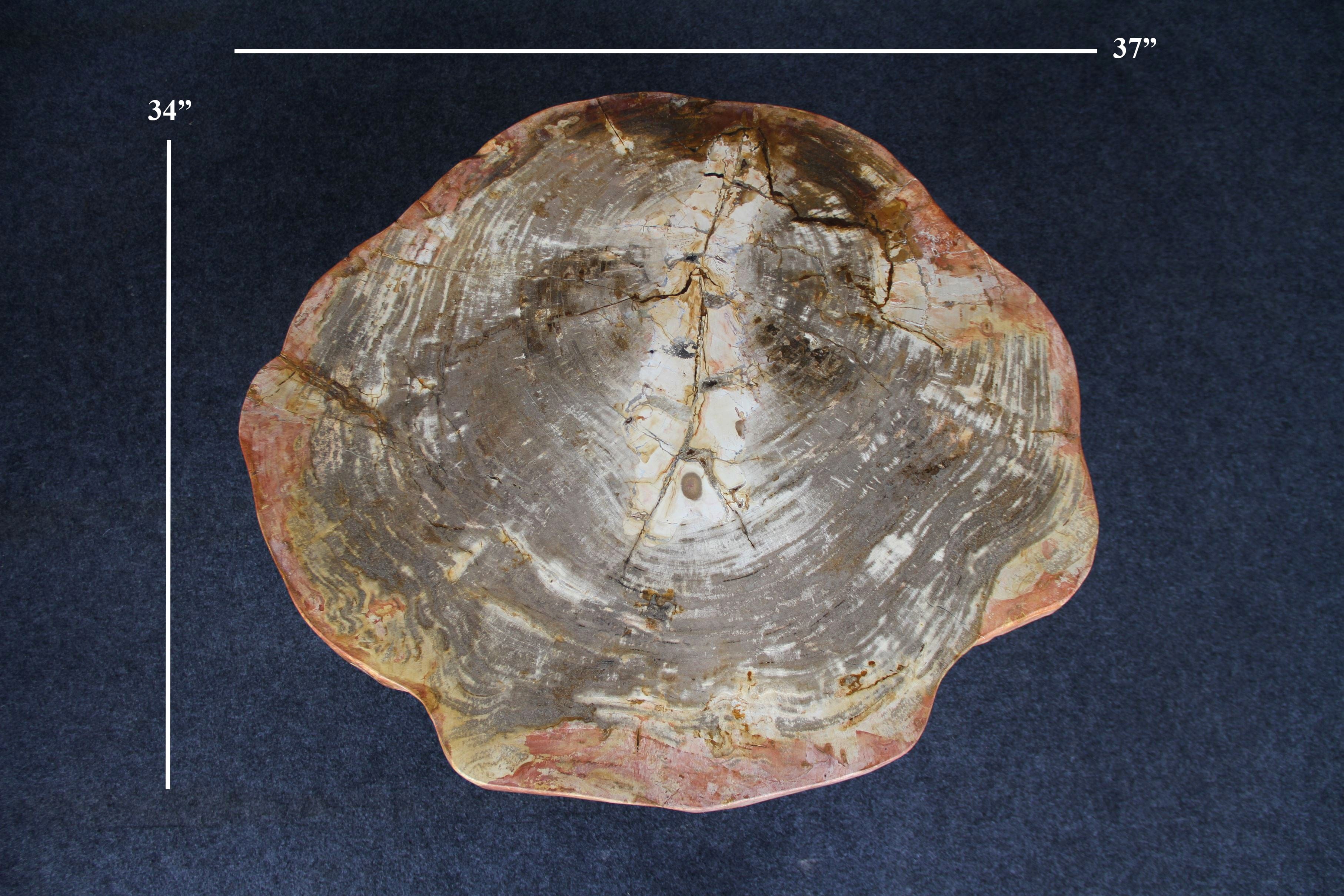 Kalifano Petrified Wood Petrified Wood Round Coffee Table 37" / 163 lbs PWT6000.008