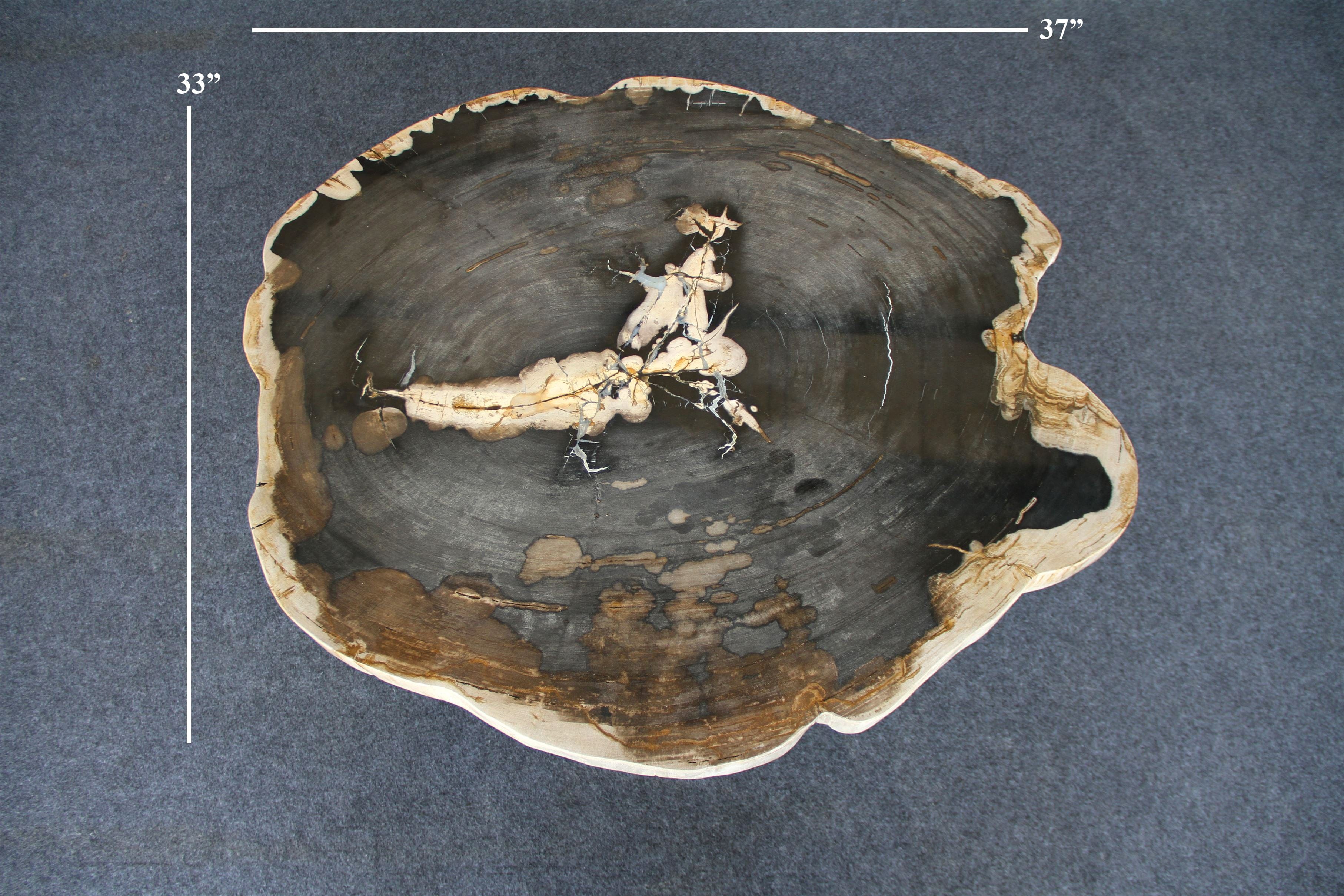 Kalifano Petrified Wood Petrified Wood Round Coffee Table 37" / 191 lbs PWT7000.002
