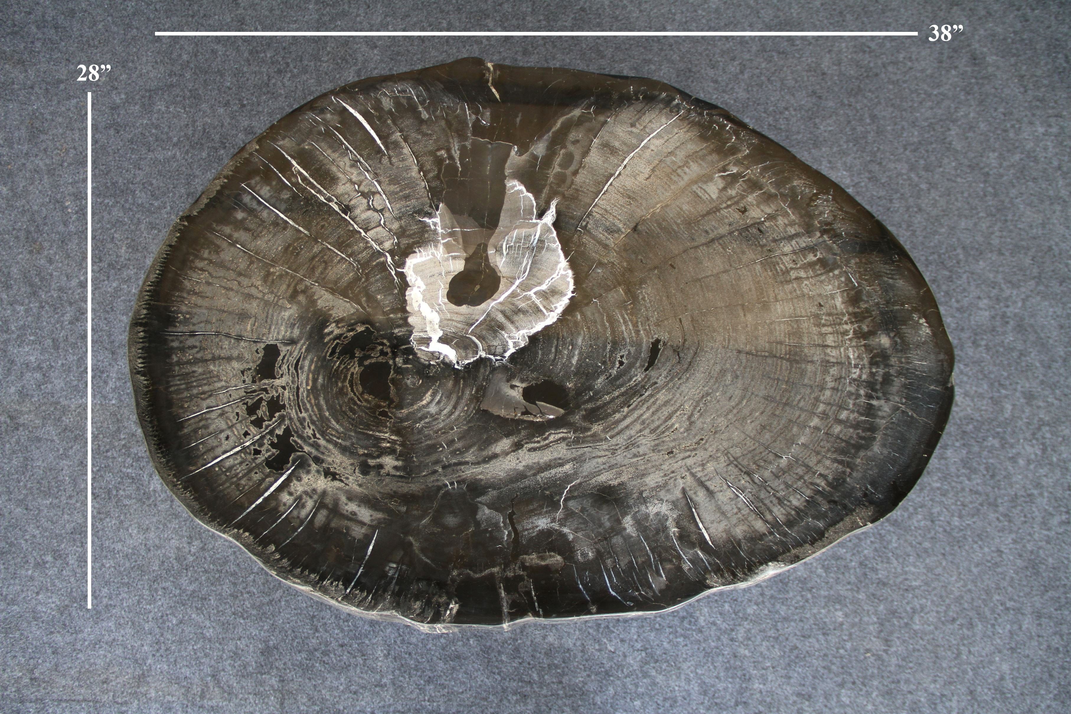 Kalifano Petrified Wood Petrified Wood Round Coffee Table 38" / 169 lbs PWT6400.007