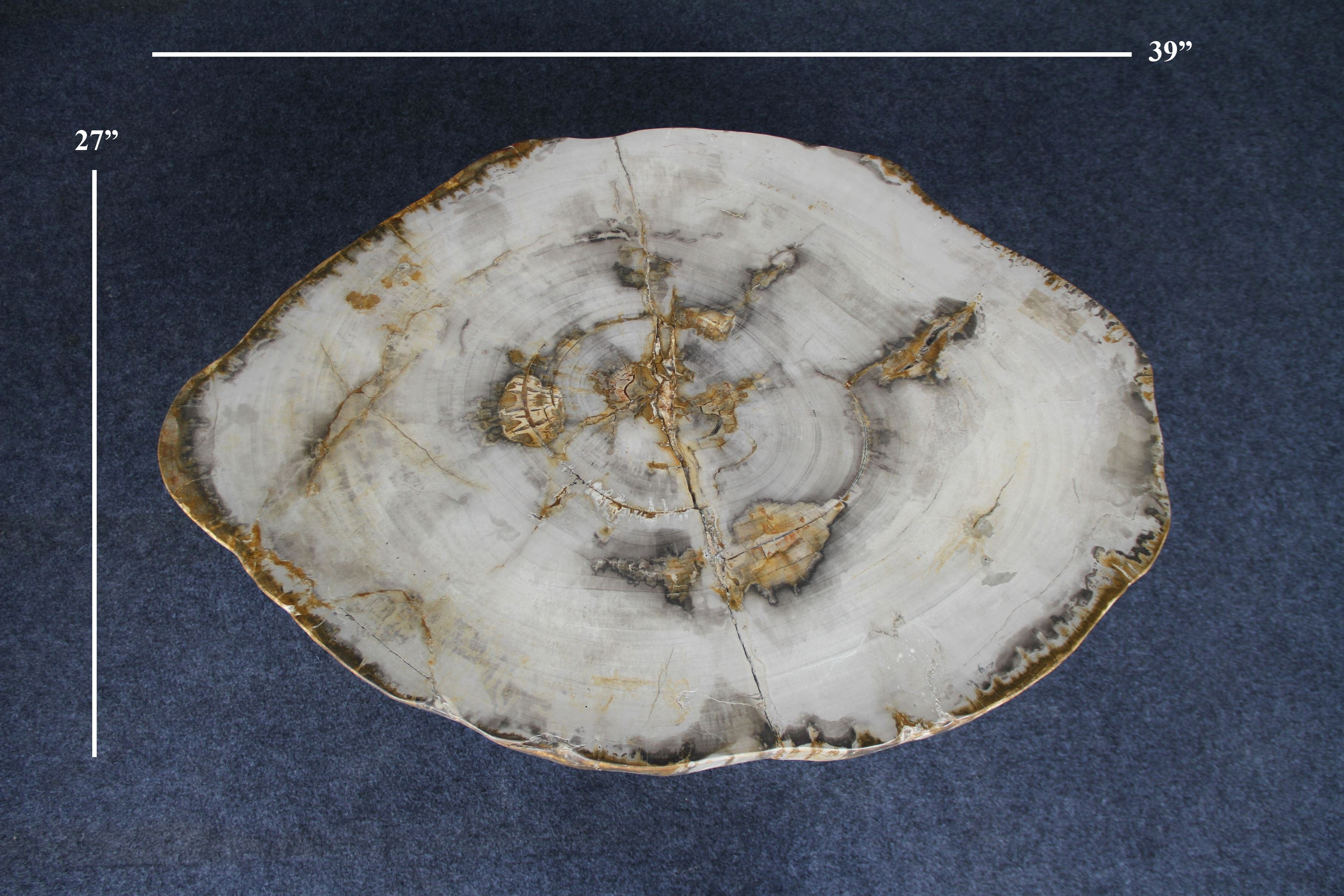 Kalifano Petrified Wood Petrified Wood Round Coffee Table 39" / 156 lbs PWT5800.003