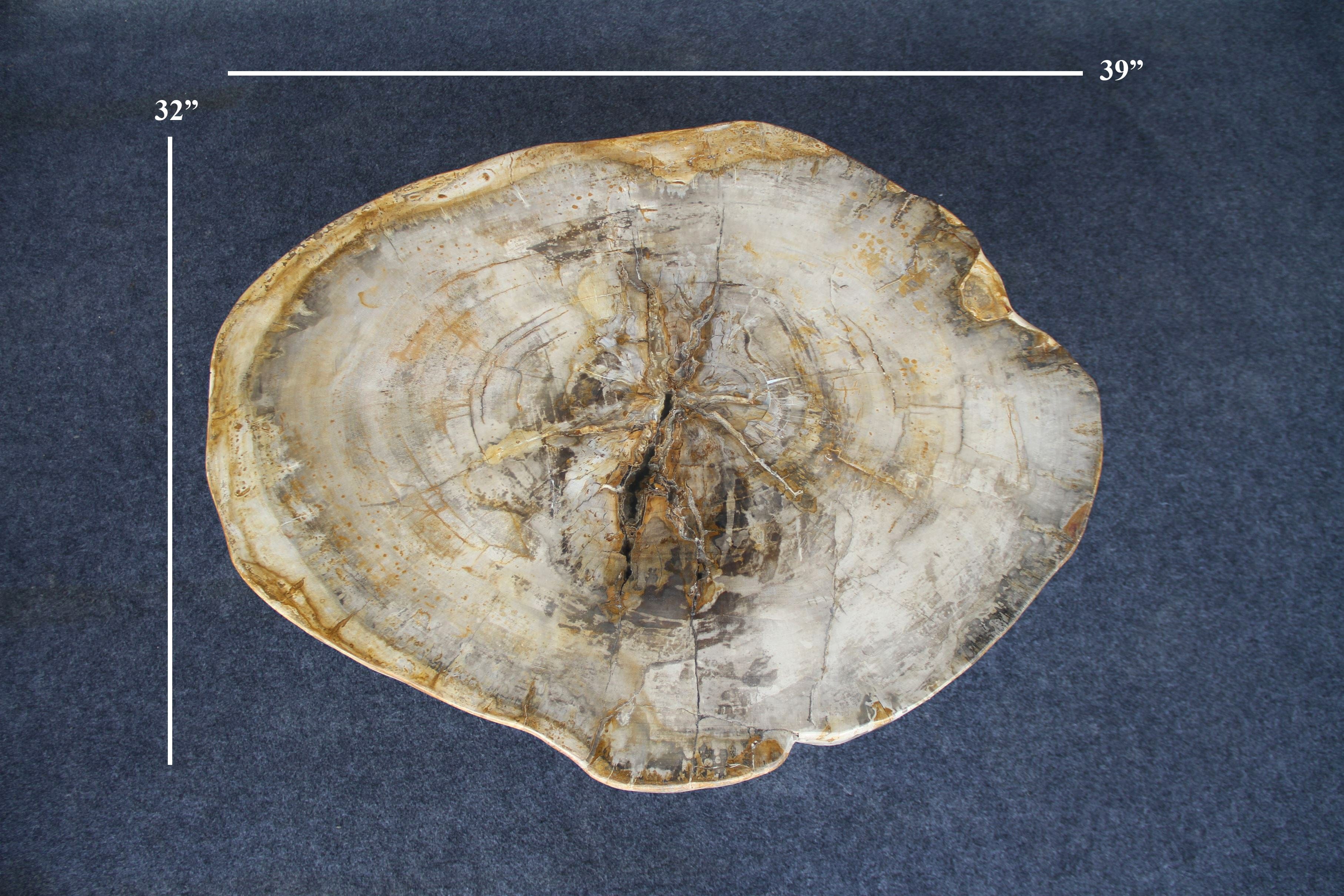 Kalifano Petrified Wood Petrified Wood Round Coffee Table 39" / 165 lbs PWT6000.006