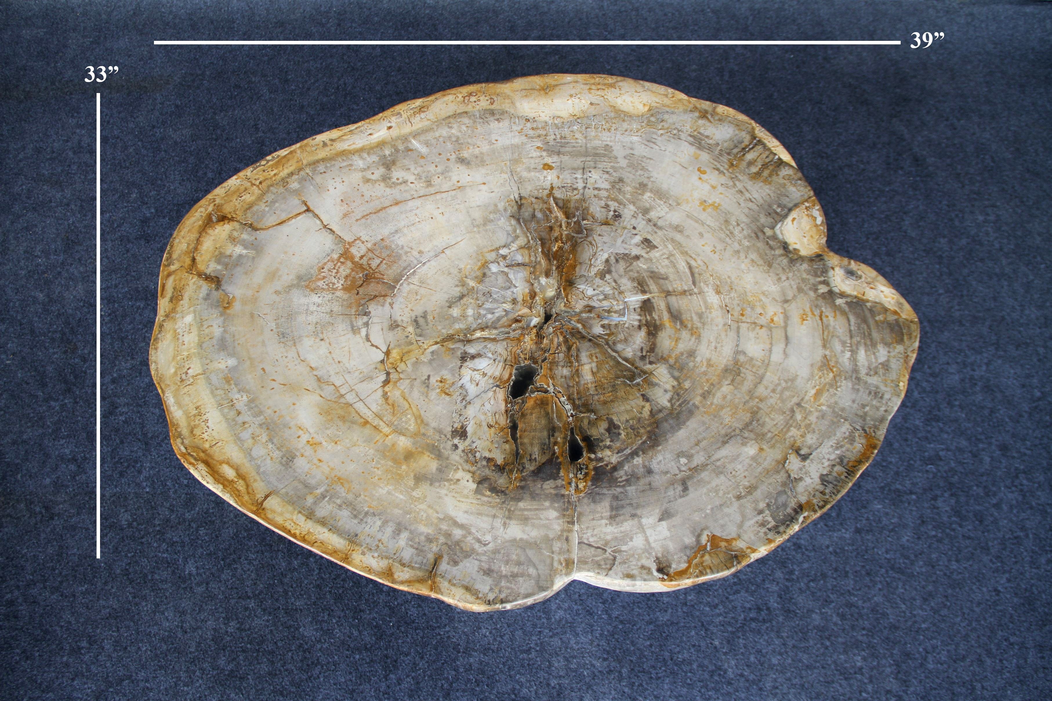 Kalifano Petrified Wood Petrified Wood Round Coffee Table 39" / 167 lbs PWT6200.004