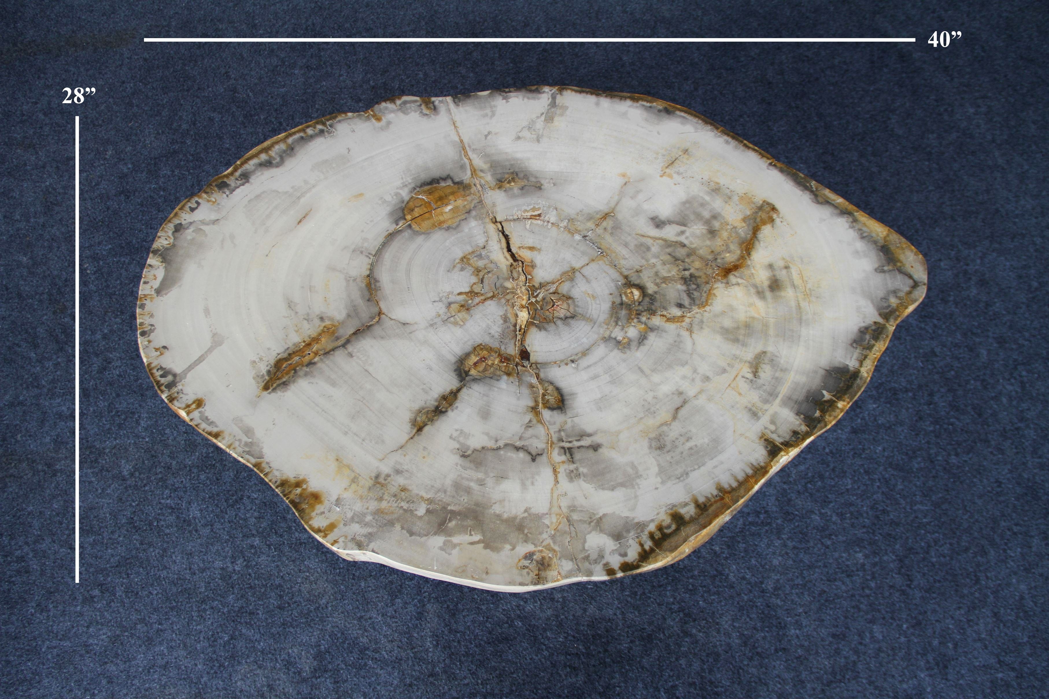 Kalifano Petrified Wood Petrified Wood Round Coffee Table 40" / 167 lbs PWT6200.003