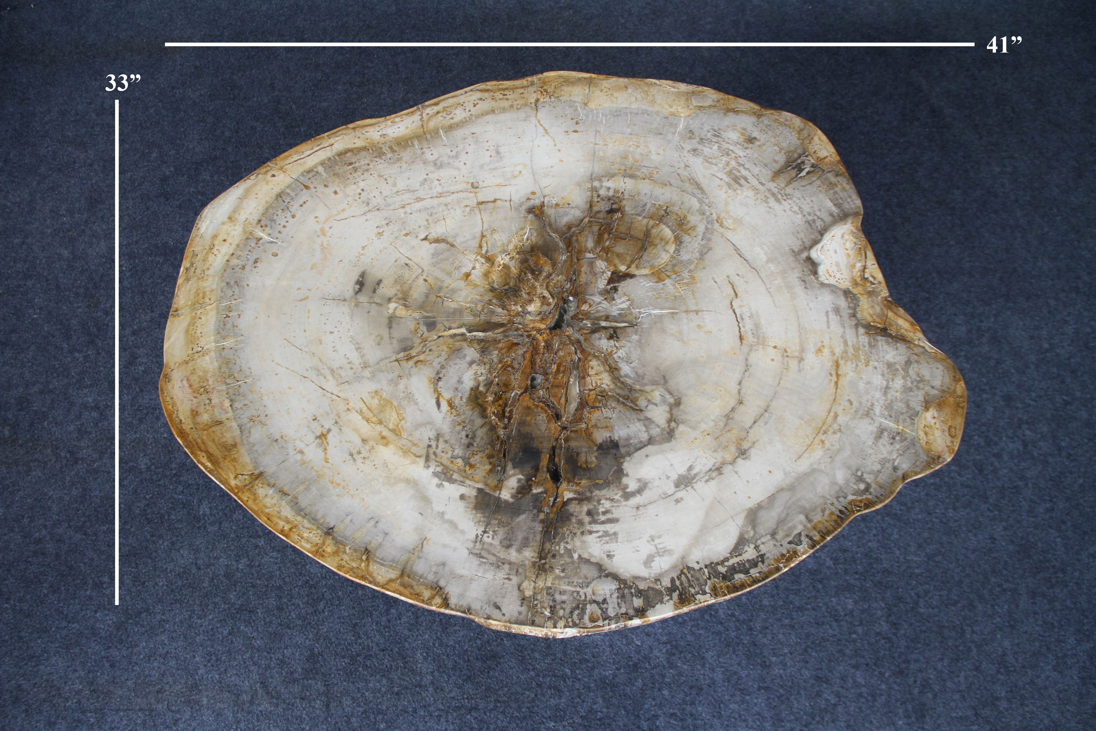 Kalifano Petrified Wood Petrified Wood Round Coffee Table 41" / 200 lbs PWT7400.006
