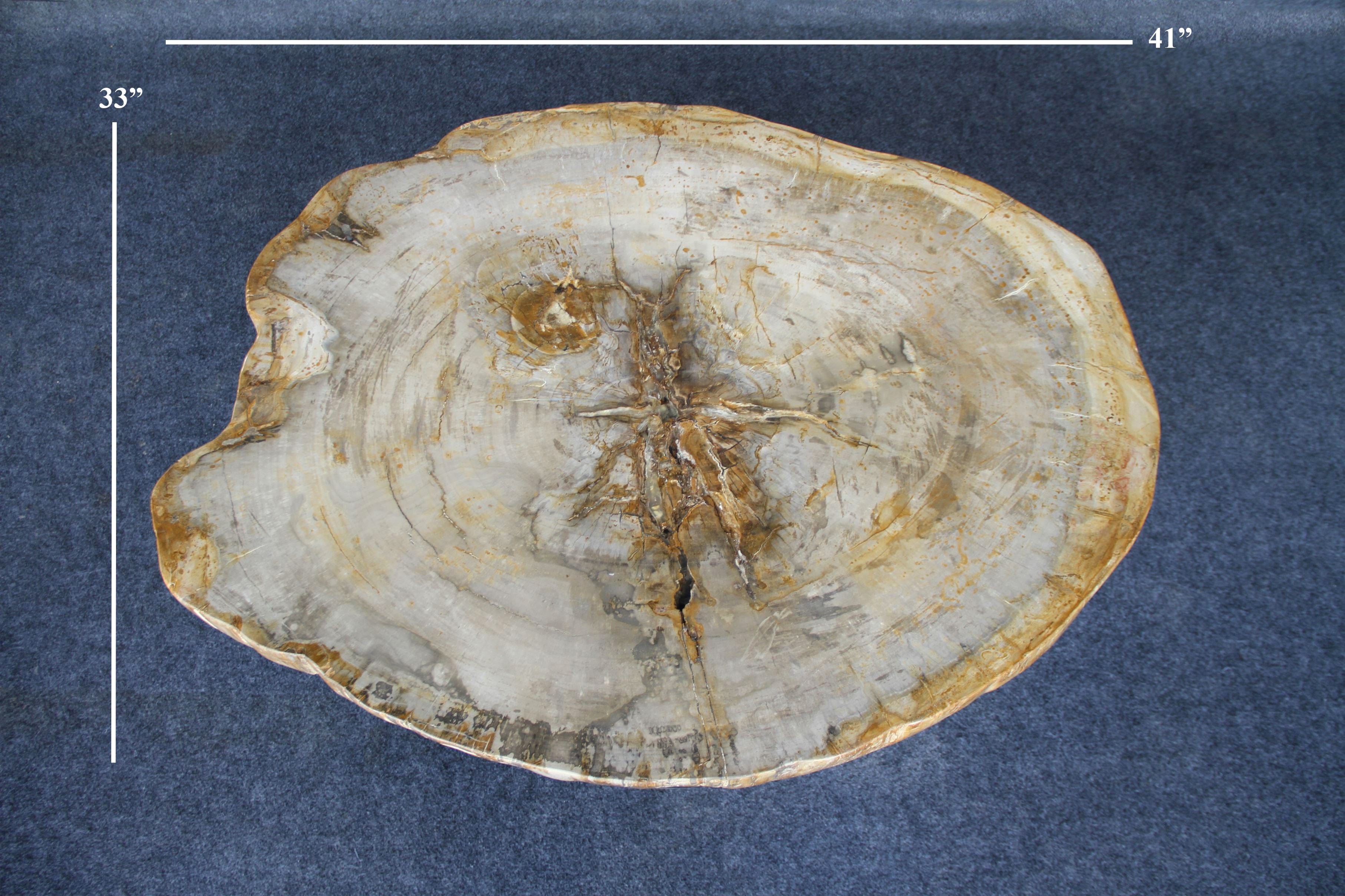 Kalifano Petrified Wood Petrified Wood Round Coffee Table 41" / 209 lbs PWT7600.005