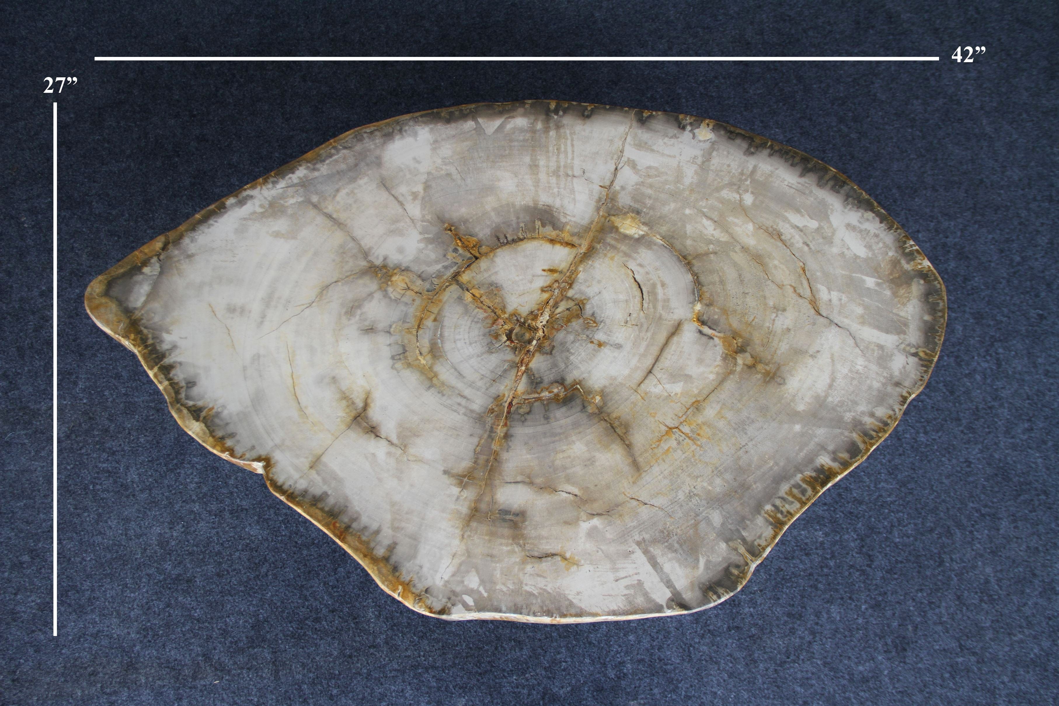 Kalifano Petrified Wood Petrified Wood Round Coffee Table 42" / 152 lbs PWT5600.006