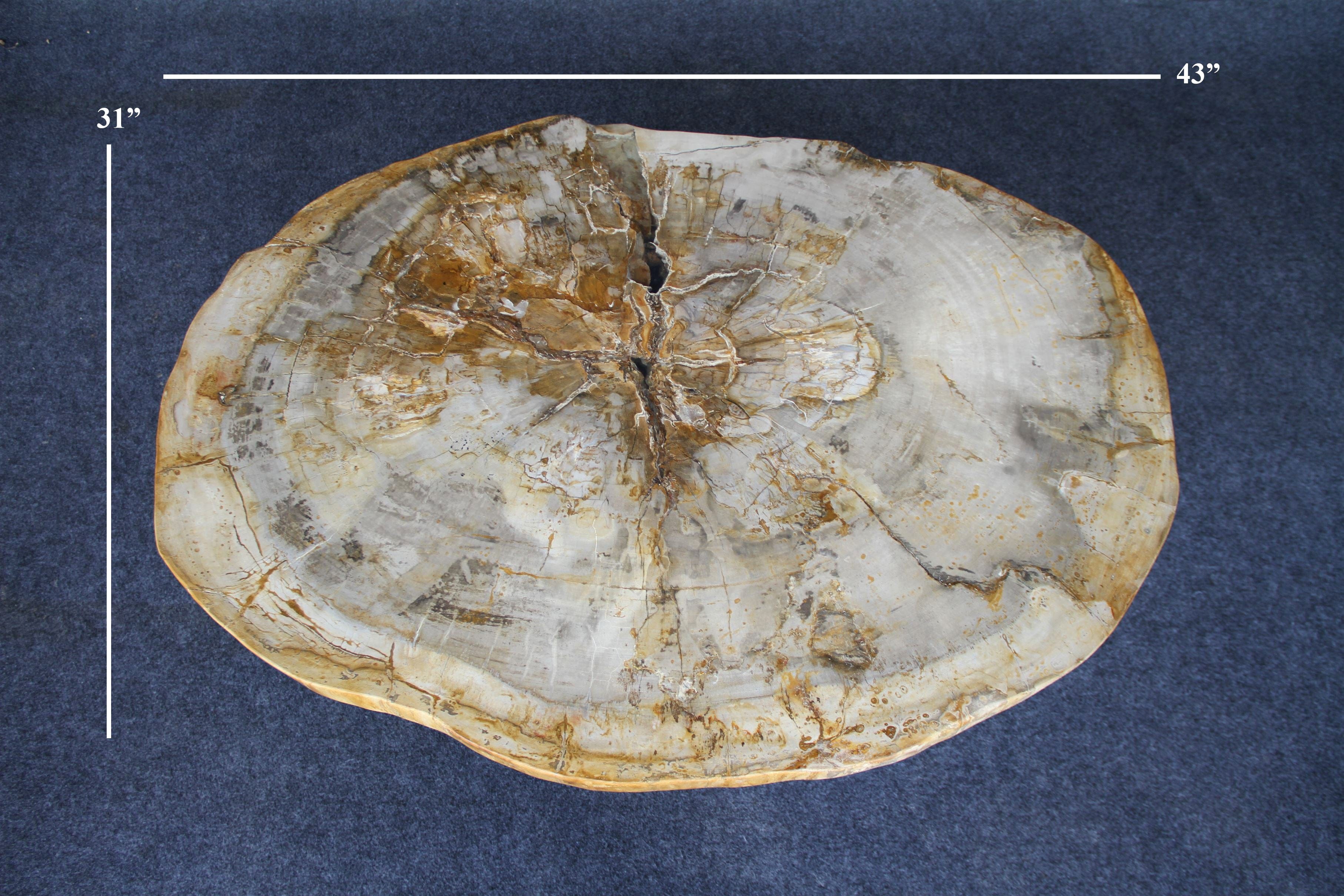 Kalifano Petrified Wood Petrified Wood Round Coffee Table 43" / 200 lbs PWT7400.005