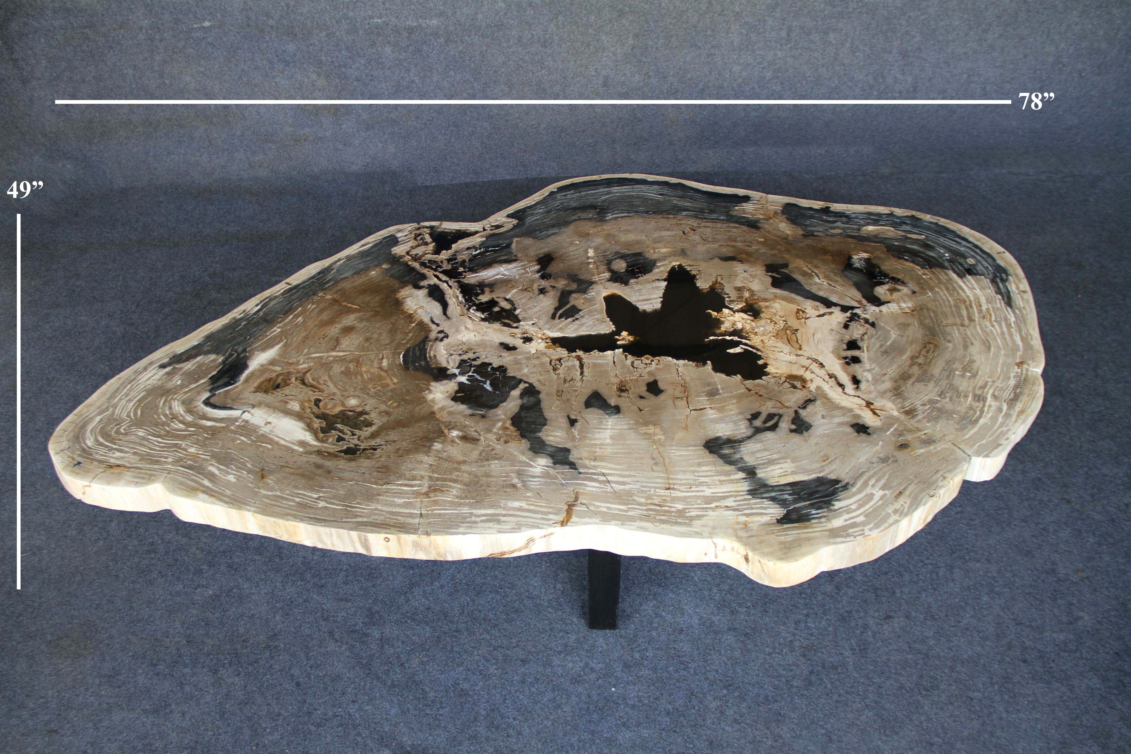 Kalifano Petrified Wood Petrified Wood Round Coffee Table 78" / 491 lbs PWT18000.001